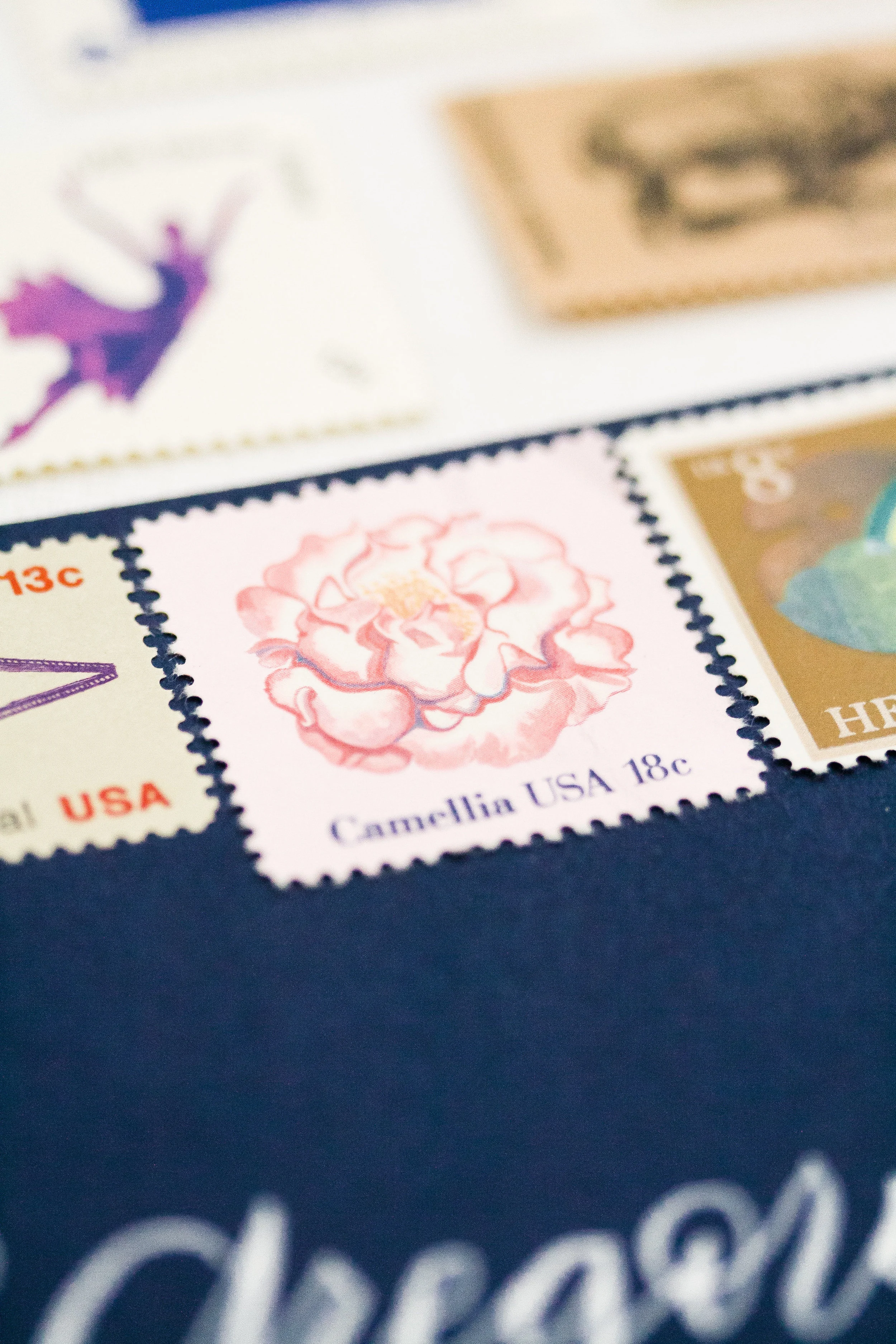 The Flocked Collection | Sample Pack