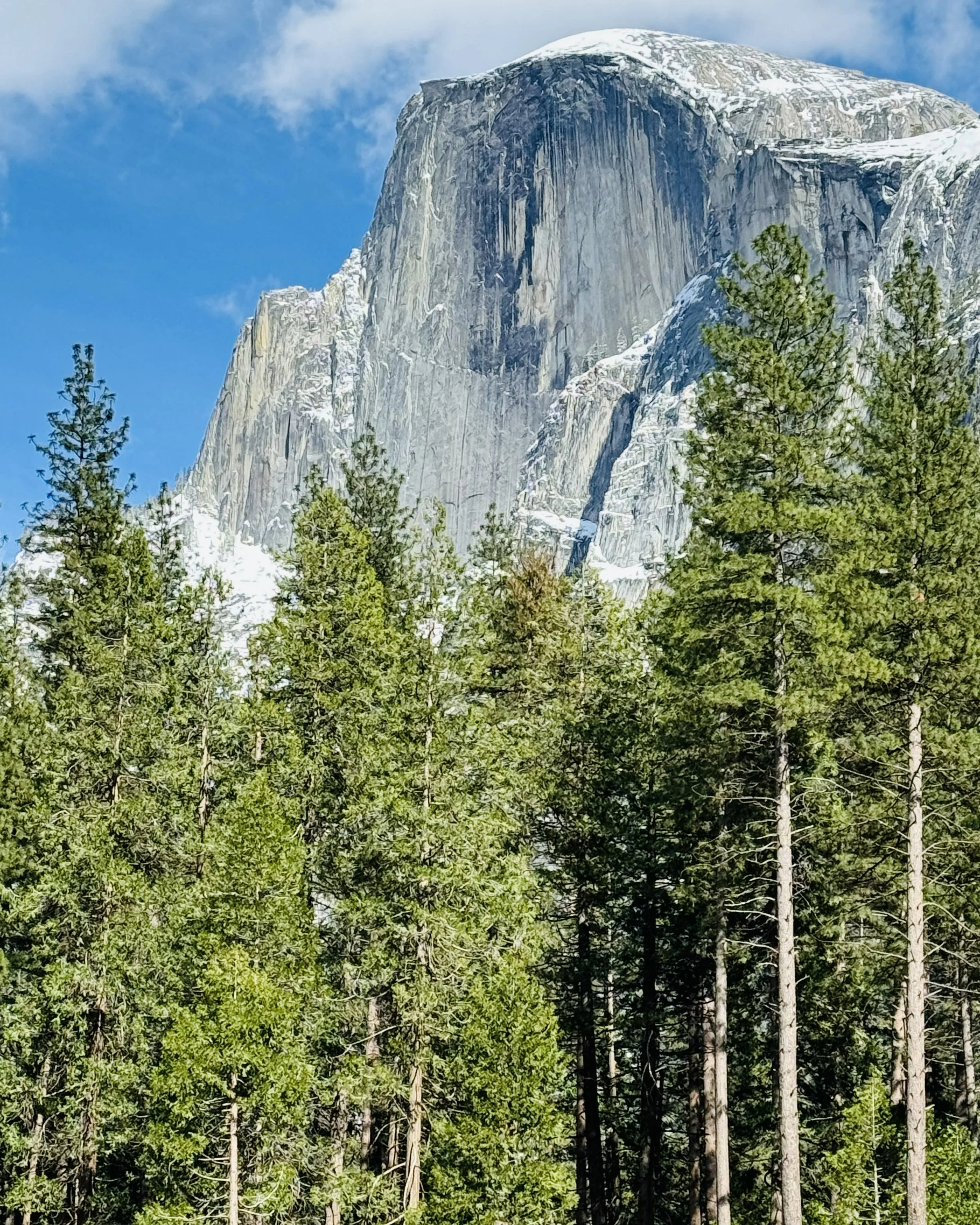 IMG_5643.jpg