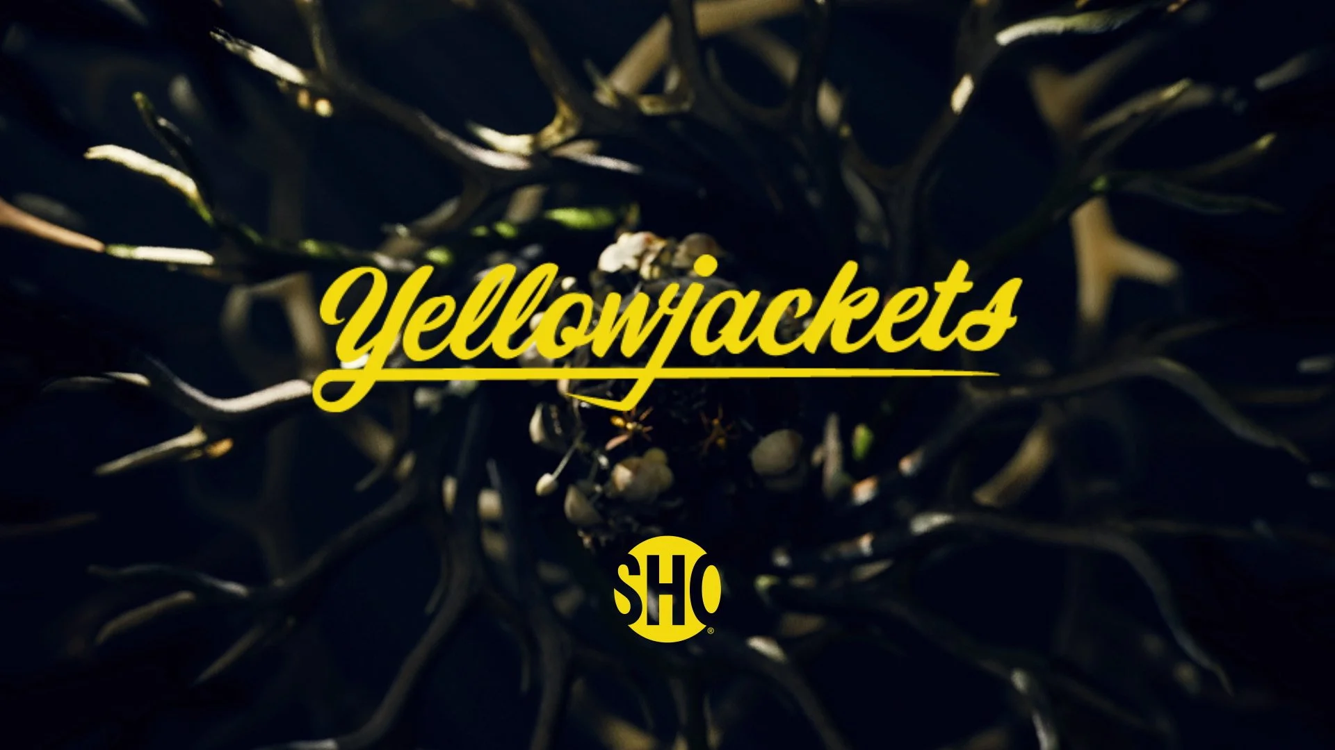 Yellowjackets_S2_Trailer__B22-44054-DIG09__3190_2024572_1920x1080.jpg