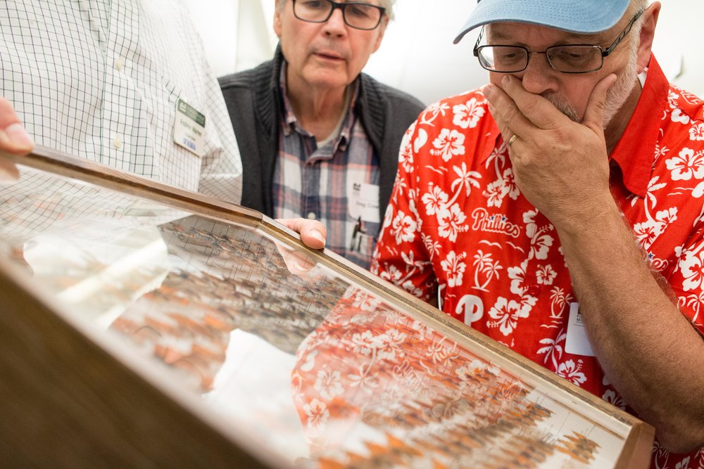  Dr. Jon Gelhaus and Mr. Greg Cowper of Entomology Department at the Academy of Natural Sciences examine a drawer of butterfly specimens at the McGuire Center for Lepidoptera &amp; Biodiversity at the University of Florida. 