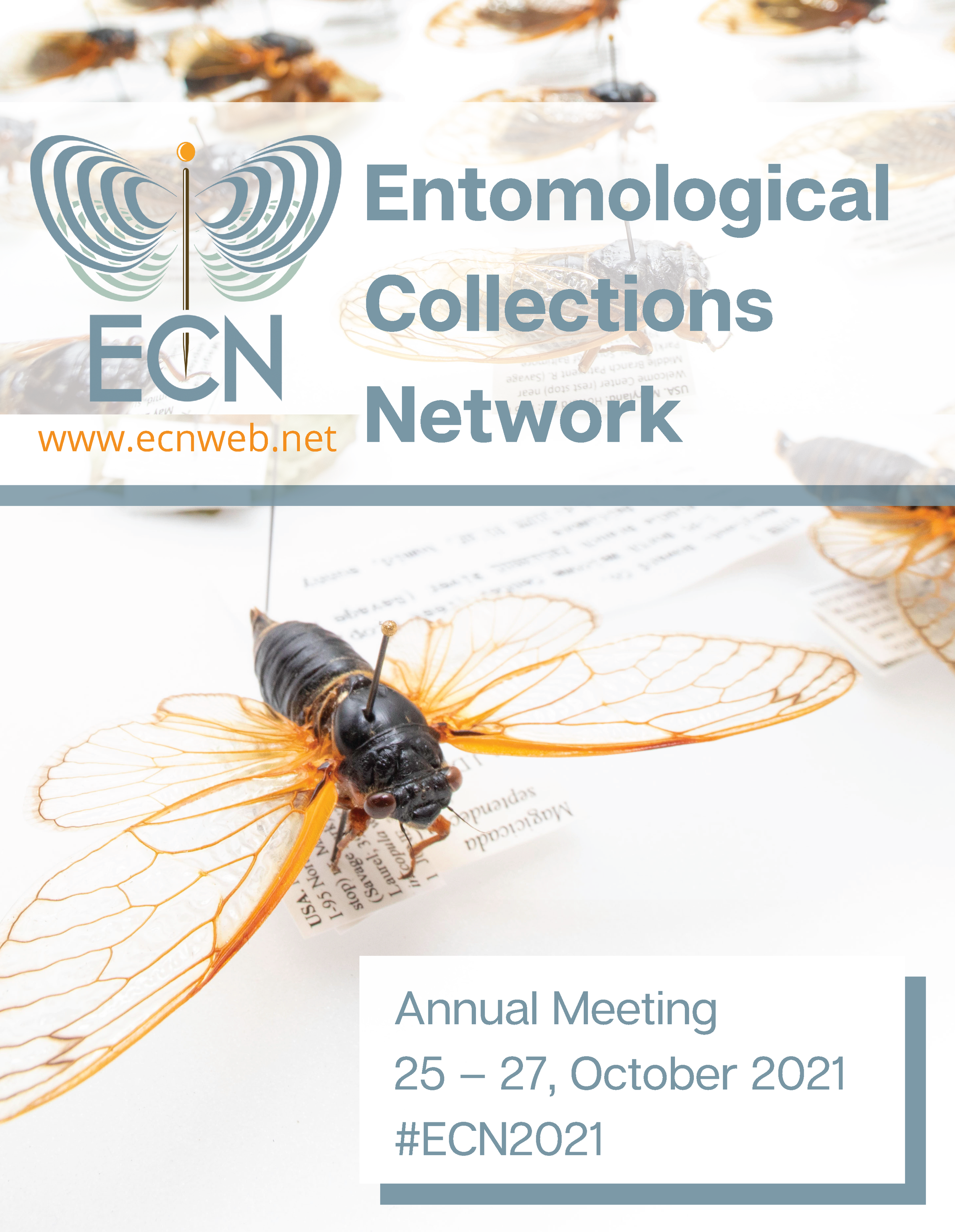 Isa Betancourt Design Example Cover Design