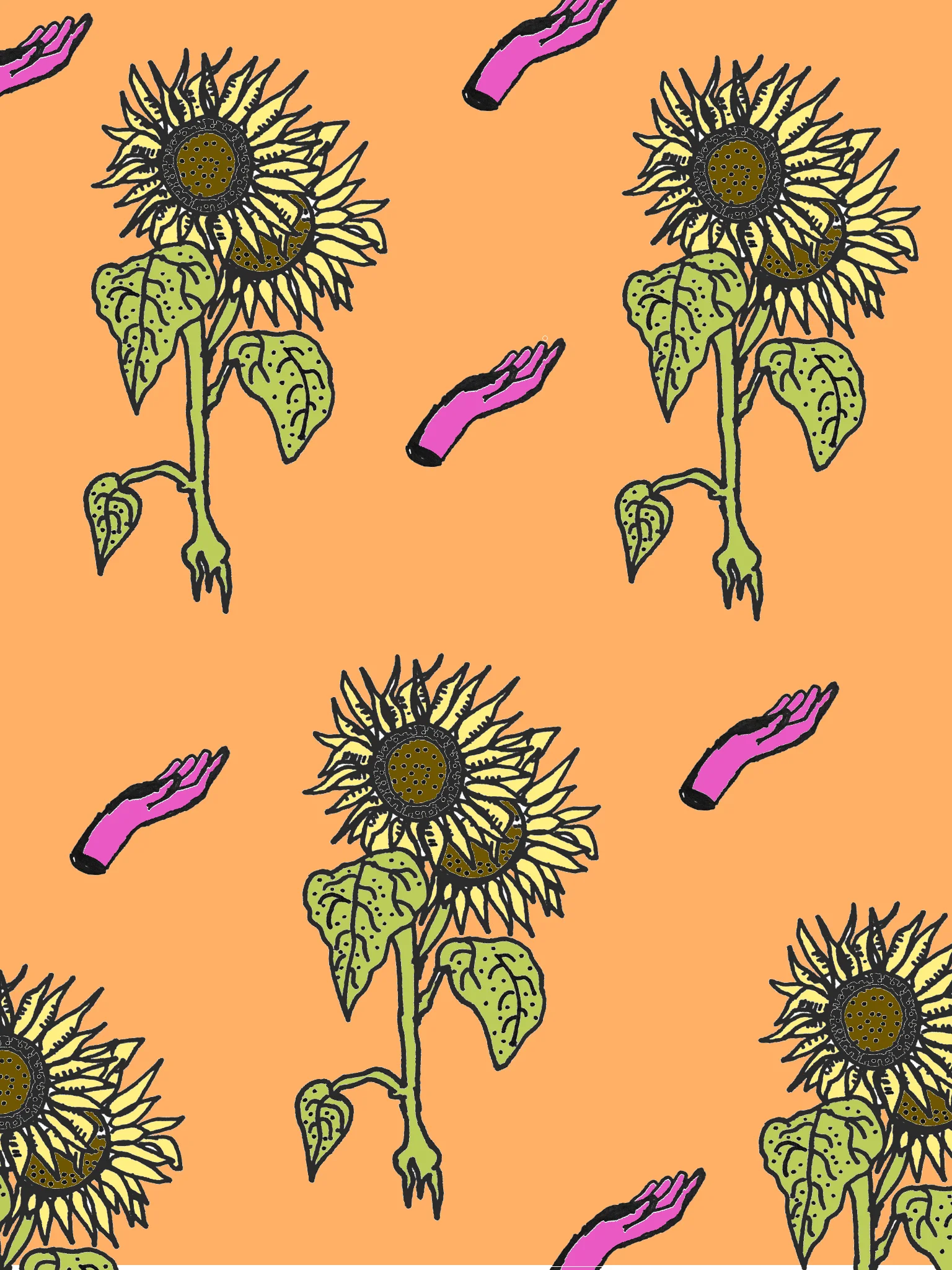 Sunflower.jpg