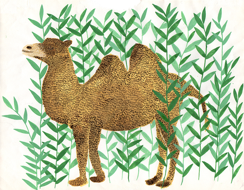 camel-for-e-magazine-.jpg