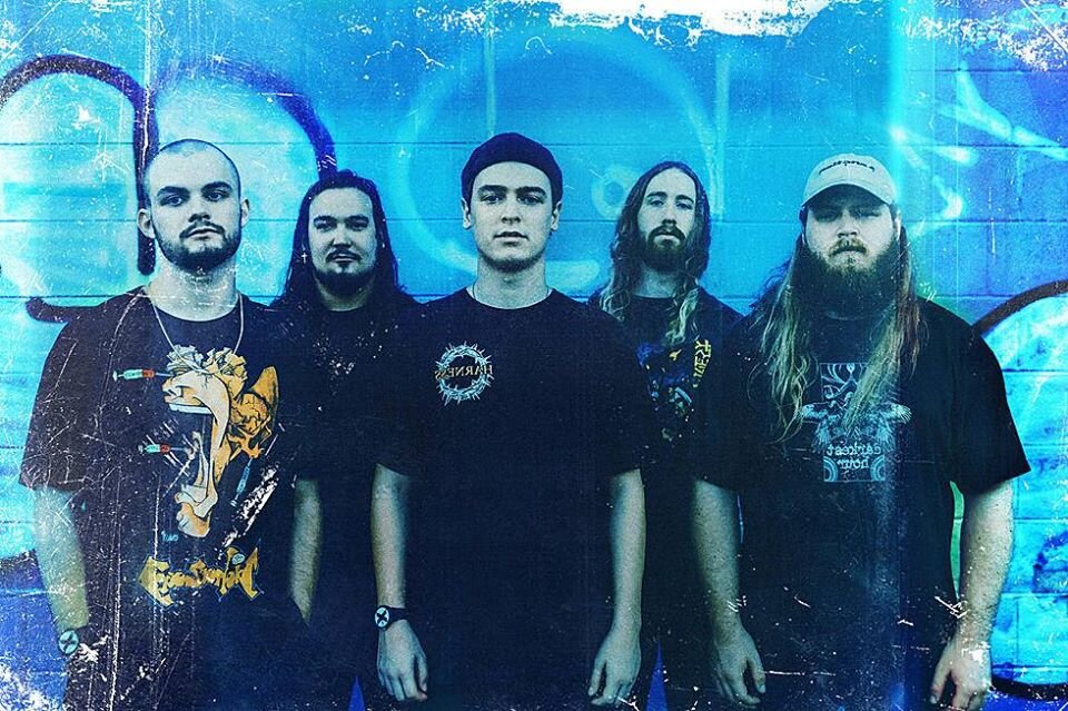 Knocked Loose — Neck of The Woods