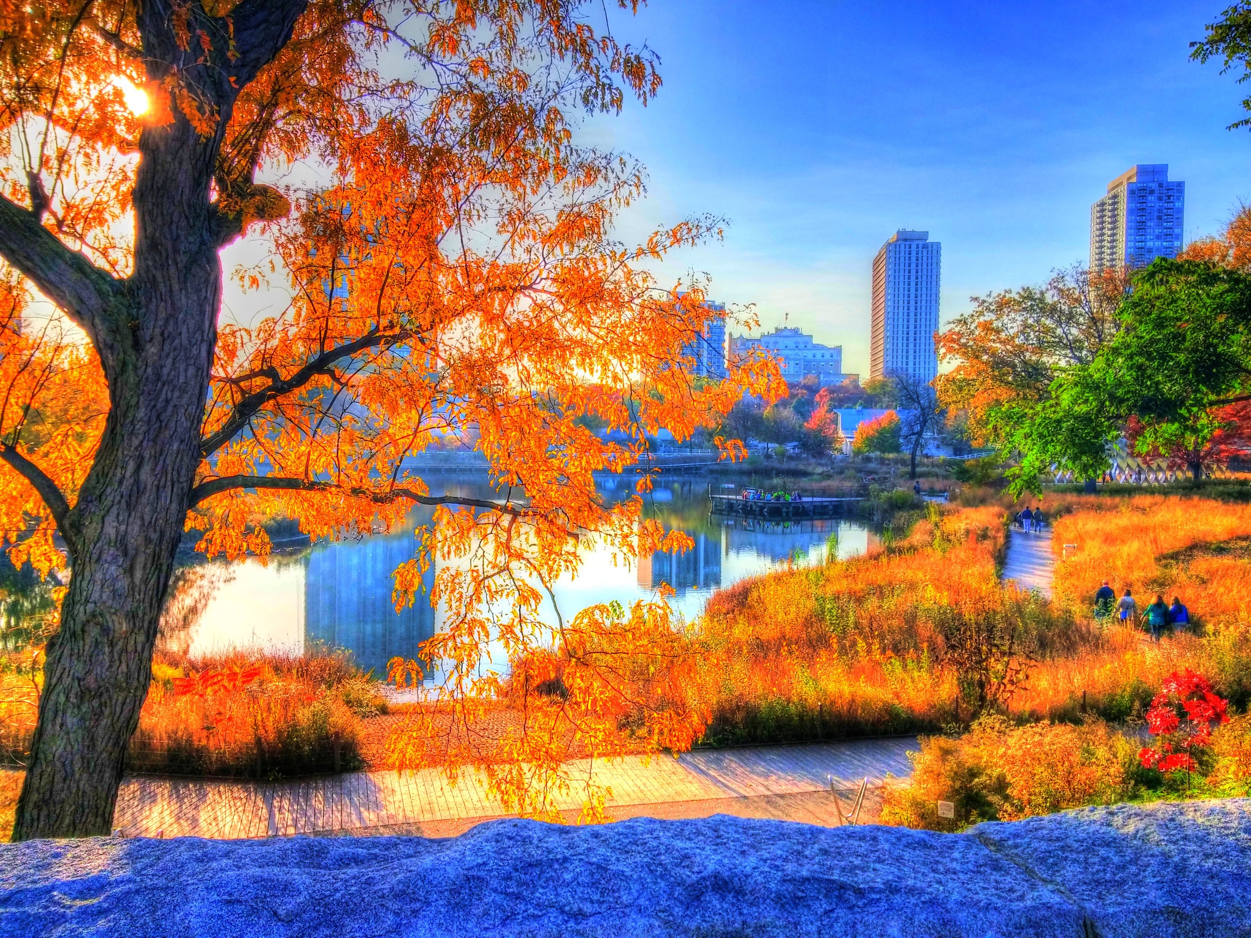 20141024_162245_HDR_tonemapped2_tonemapped4.jpg