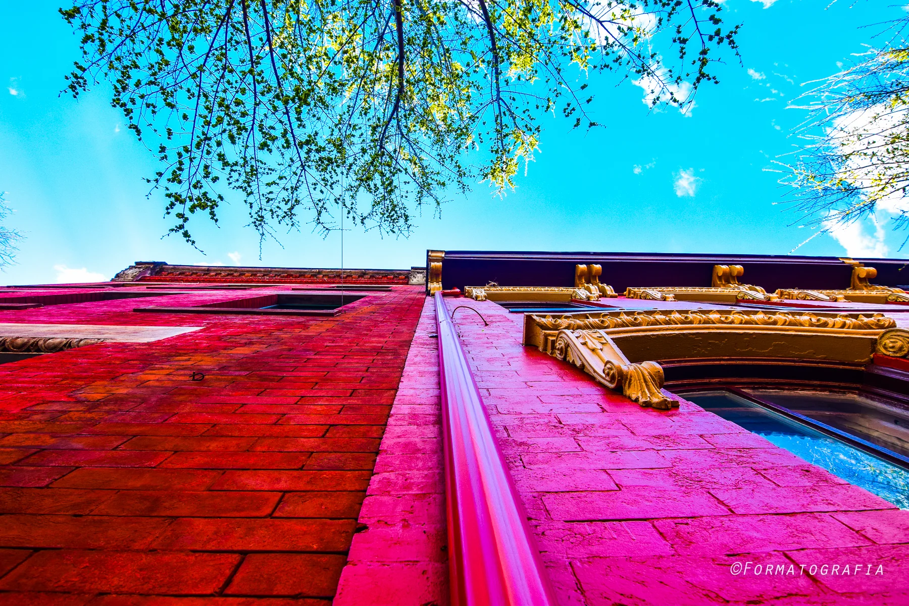 DSC_0786 2.jpg
