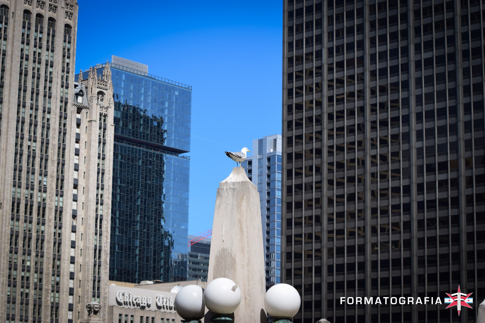 eric formato chicago photographer fall update city architecture shotsDSC_0617.jpg