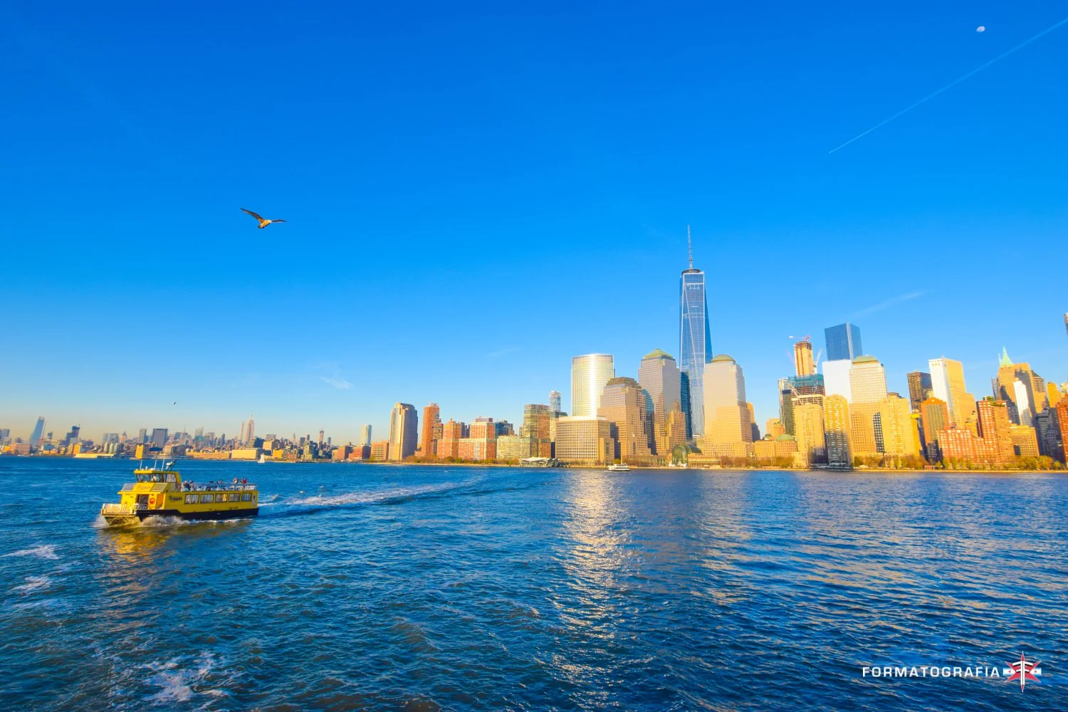 watermarkedDSC_0816.jpg