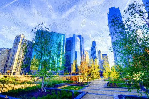 wolf point rainbow loop 3.gif