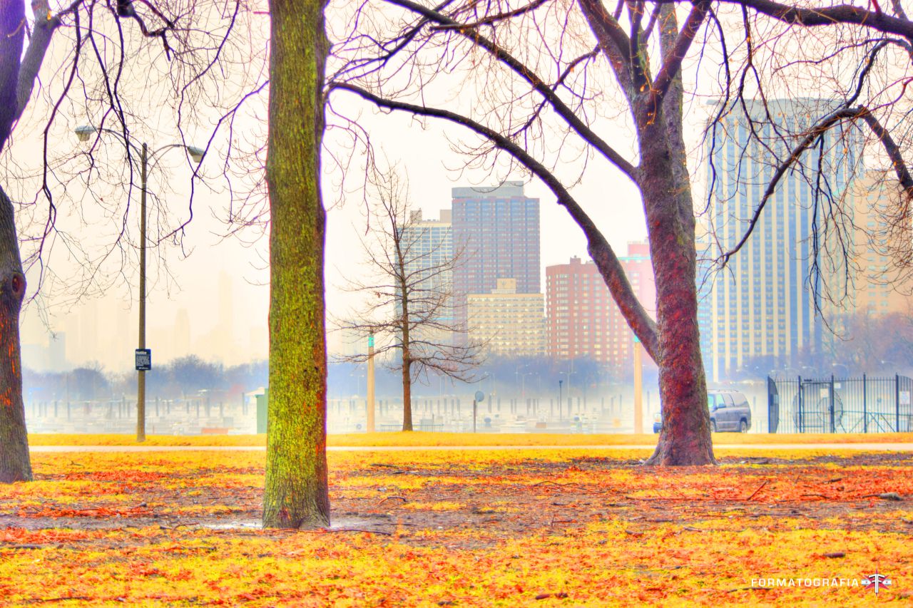 Tiny400trippy trees.jpg