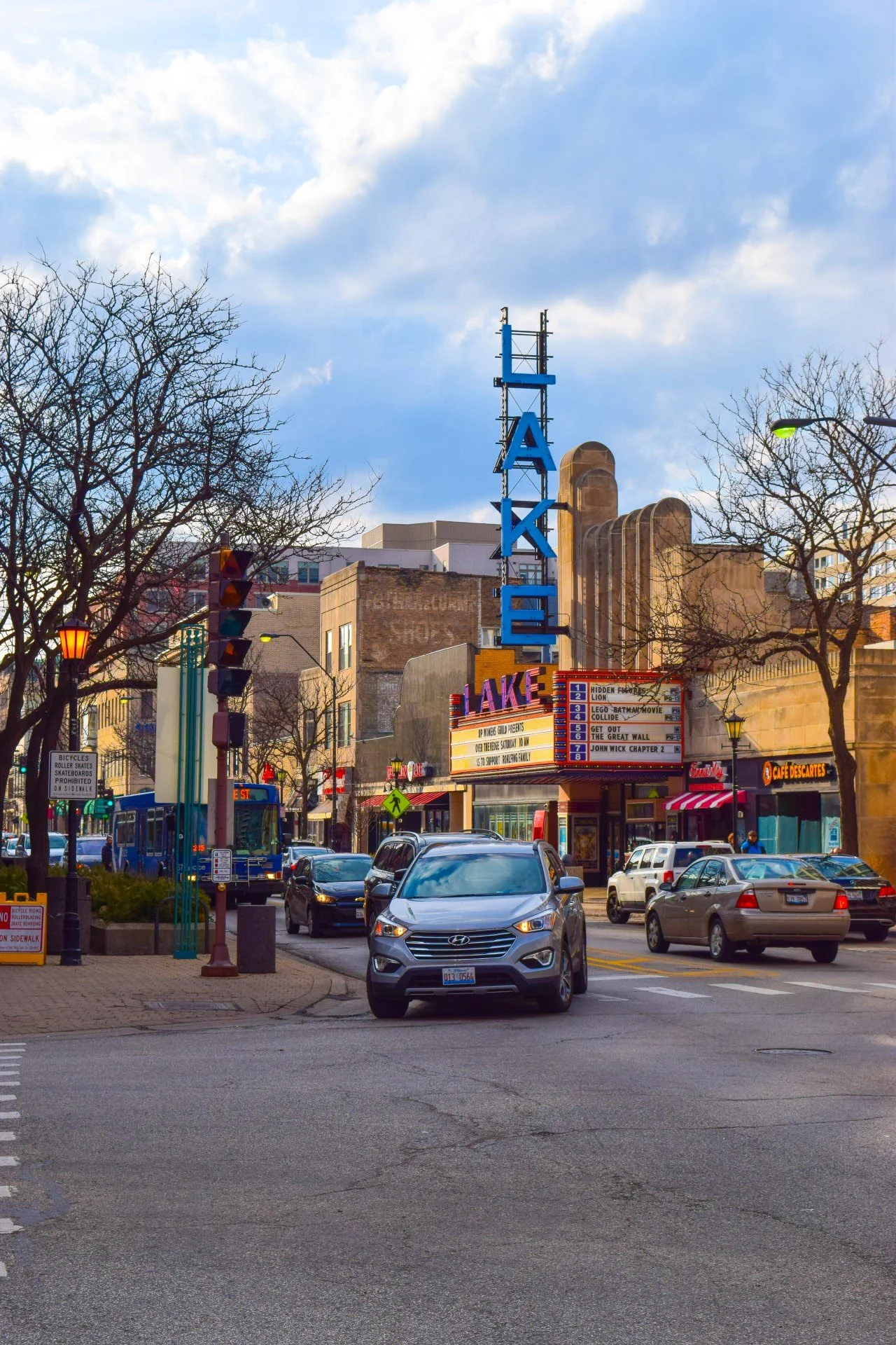 Oak Park Chicago Neighborhood Architecture90.jpg