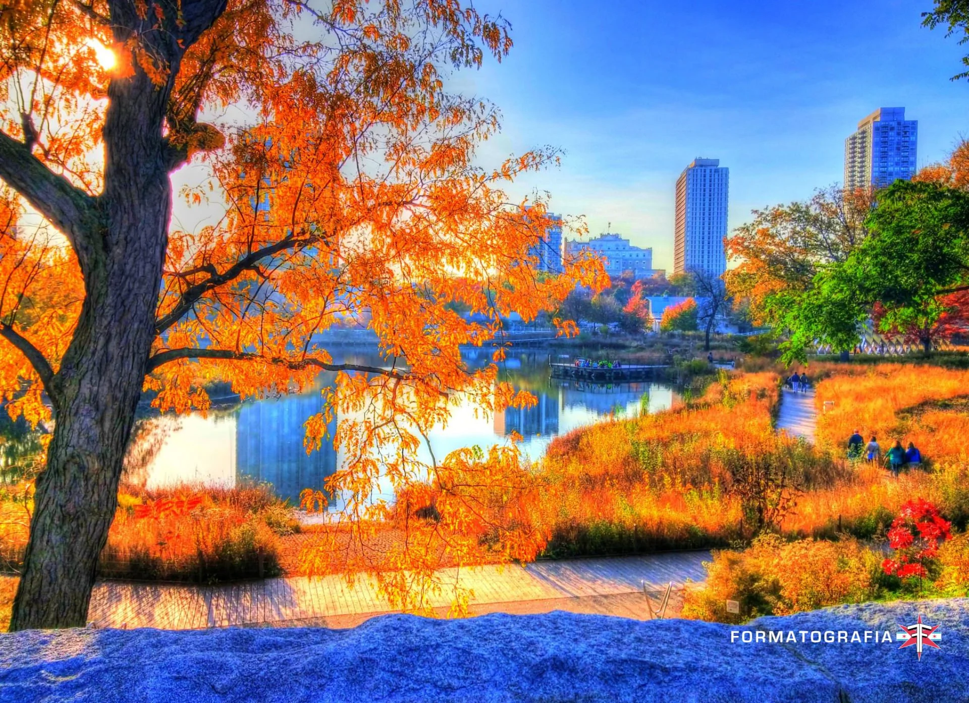 20141024_162245_HDR_tonemapped2_tonemapped4_batch.jpg