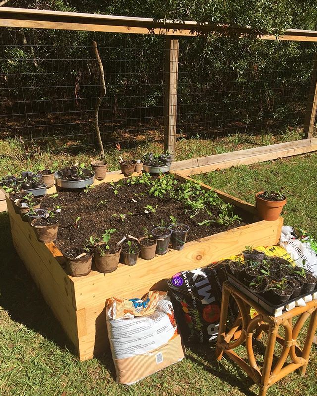 #happiness is getting your hands dirty! #alsowillbereadywhenweneedtogooffthegrid 😂 🌱🌱🌱🌱🌱🌱 #organic #raisedbeds  #kale &amp; #chard &amp; #lettucemix officially in today !!