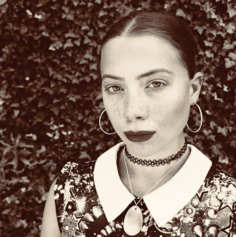 Commendations Honors: 2017 🏆