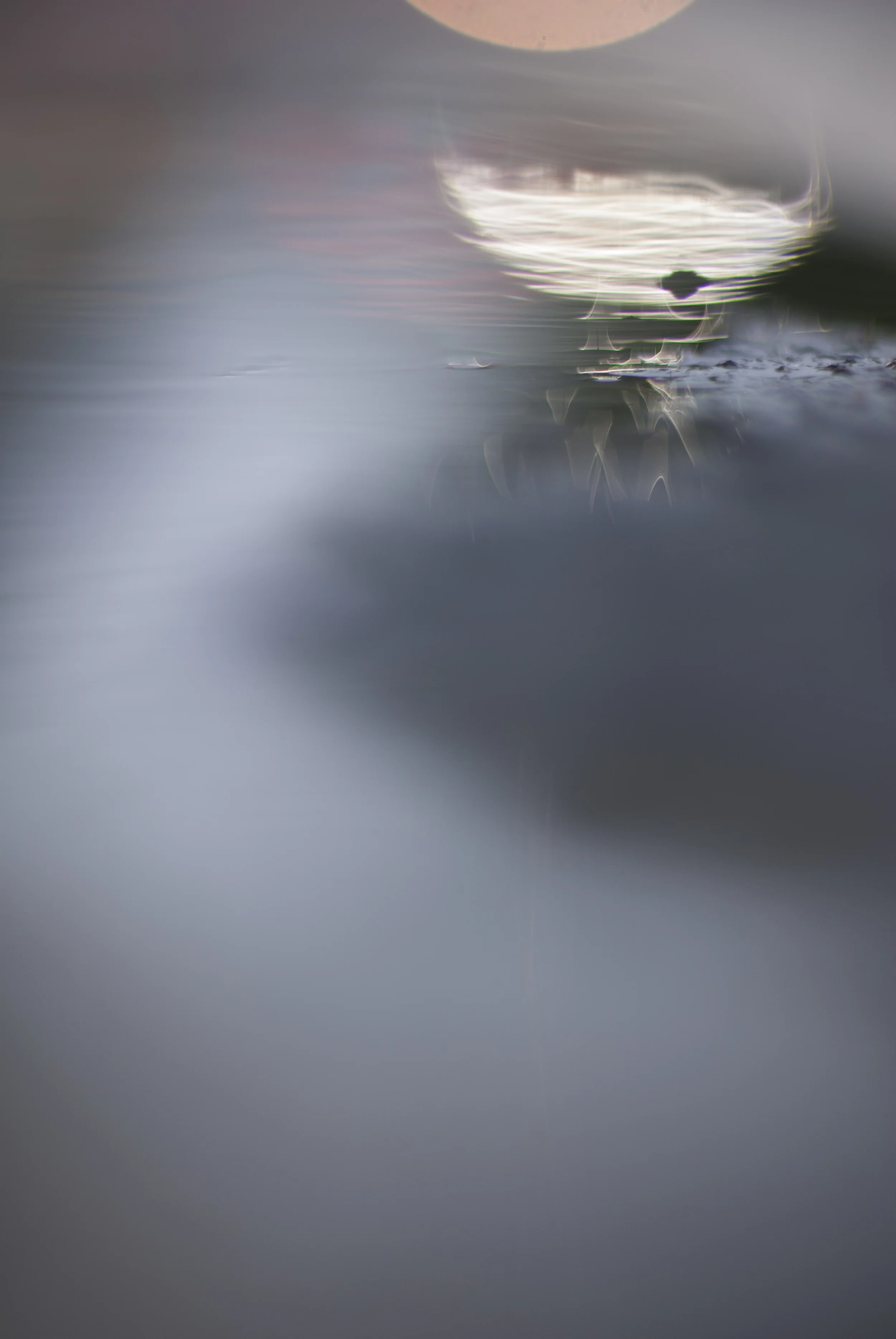 _DSC0102 as Smart Object-1.jpg