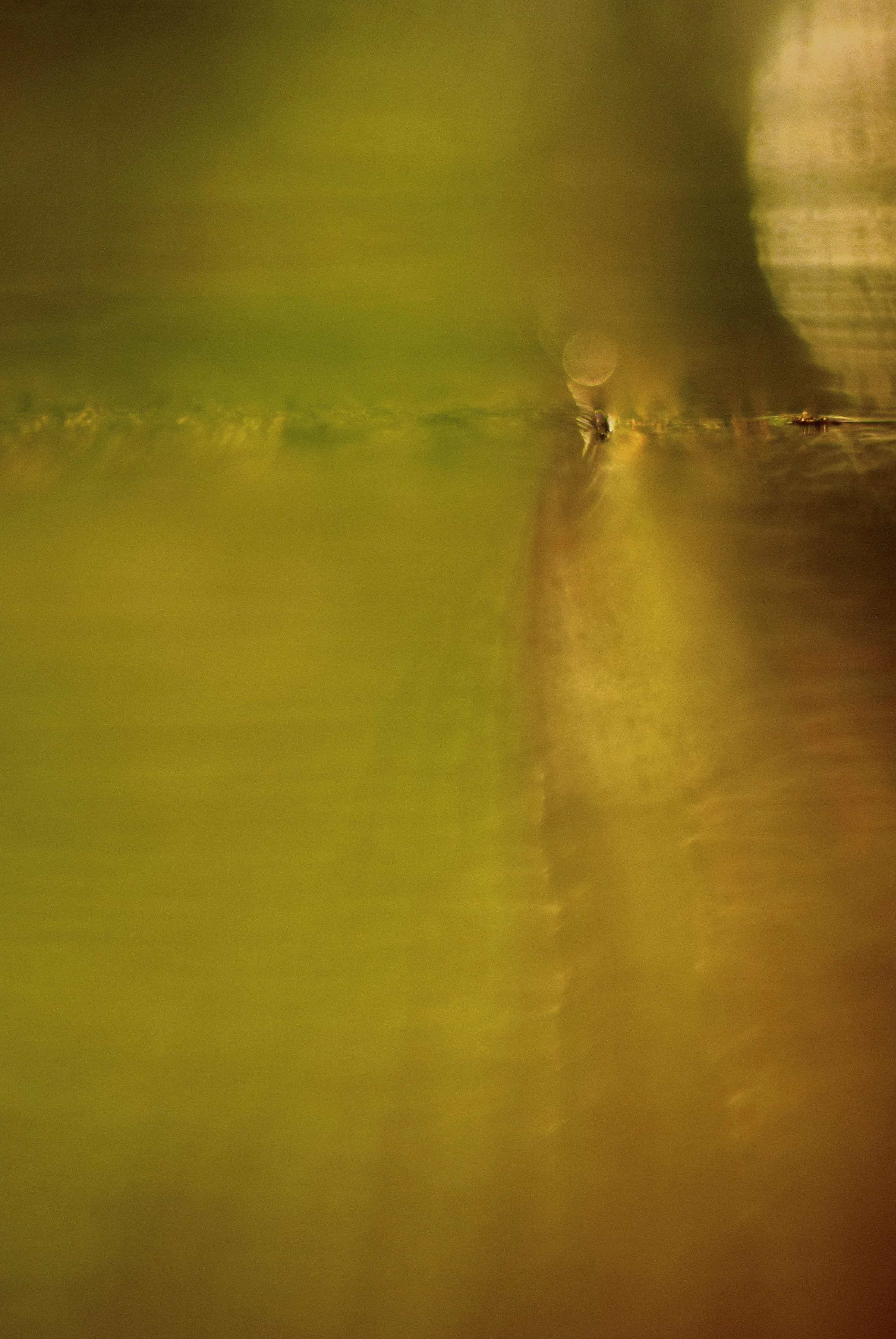 _DSC0088 as Smart Object-1 copy.jpg