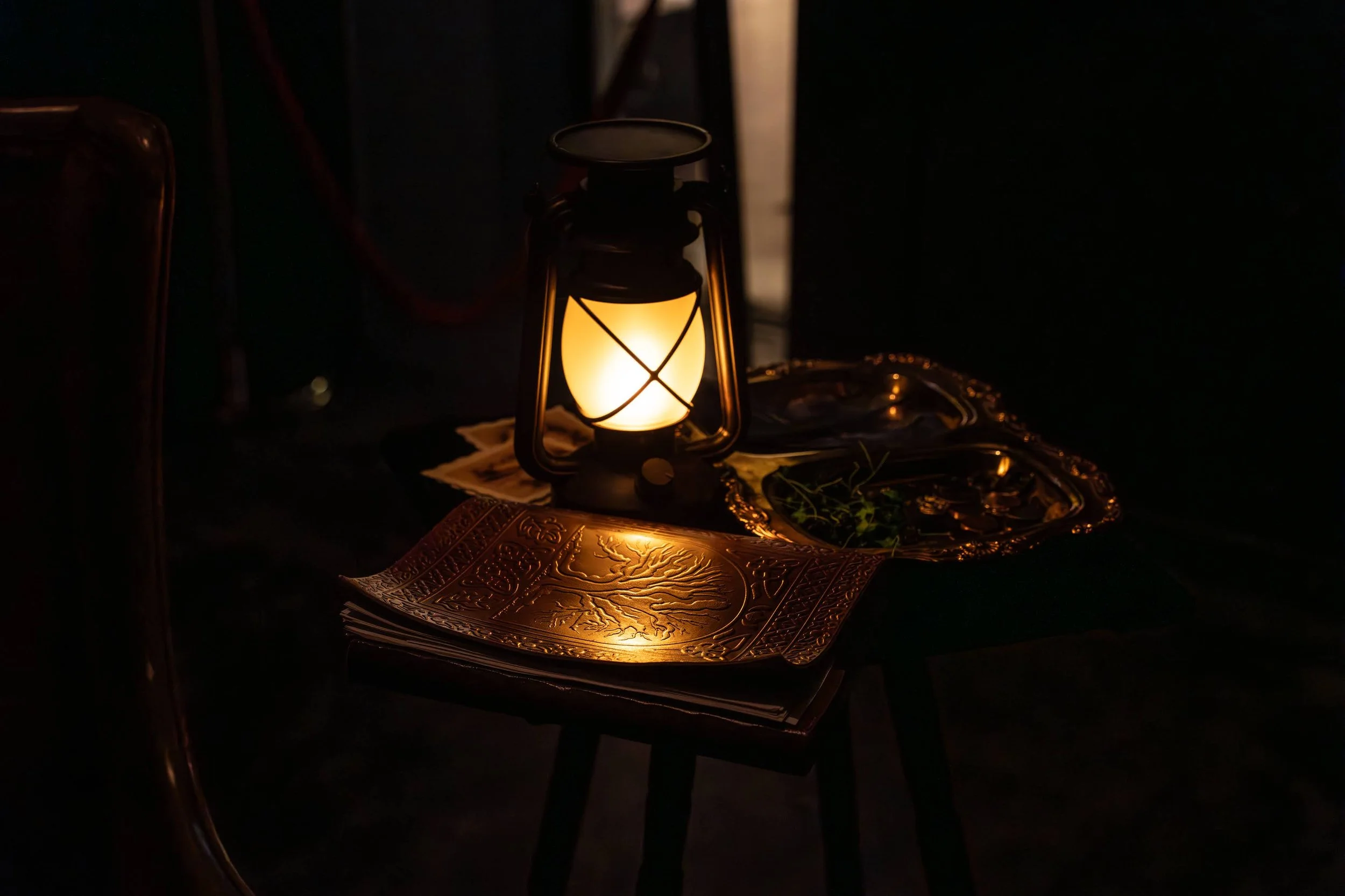 Lost Inn 2025 - Reese -1-Enhanced-NR.jpg