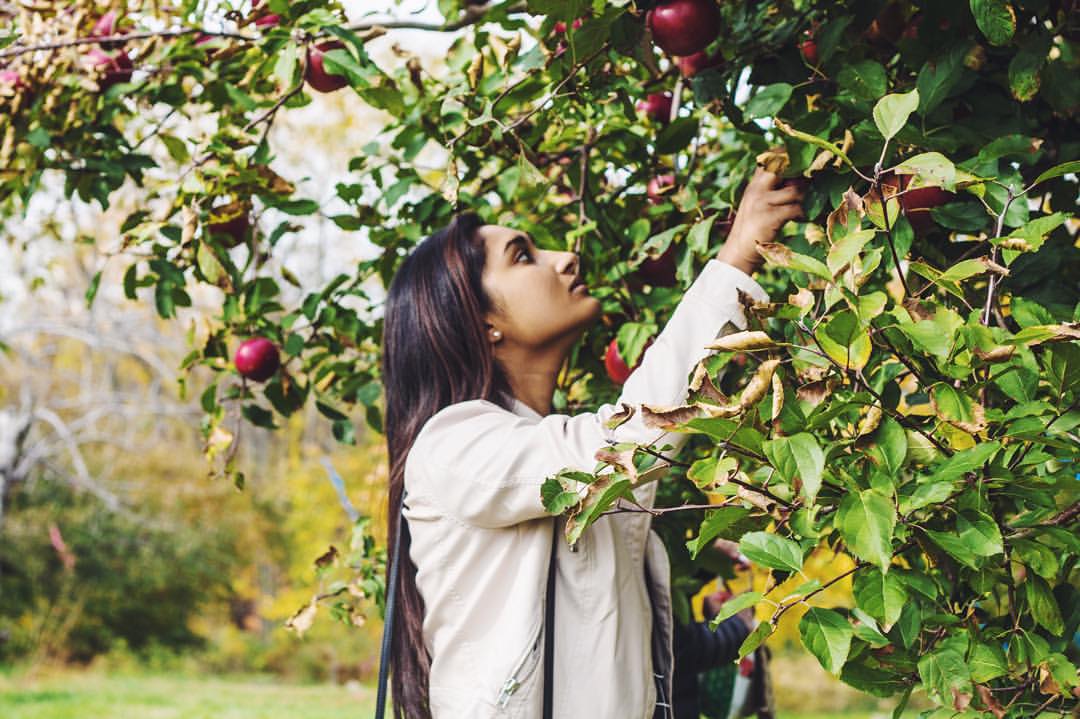 When it came to the orchards, you'd always find me near the apple trees. 