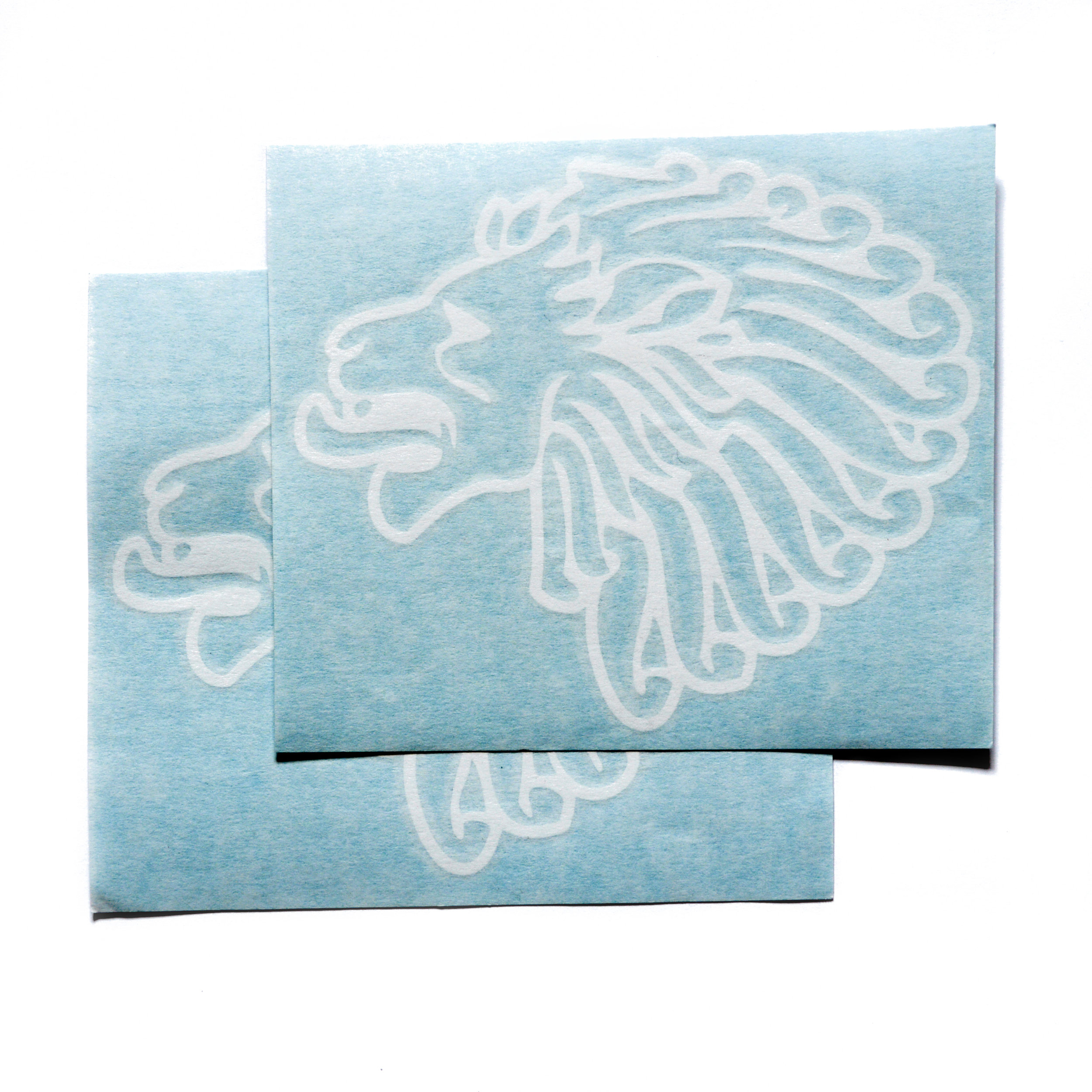 Car/Window Decal - 2 pack