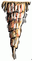 stalactite4c.gif