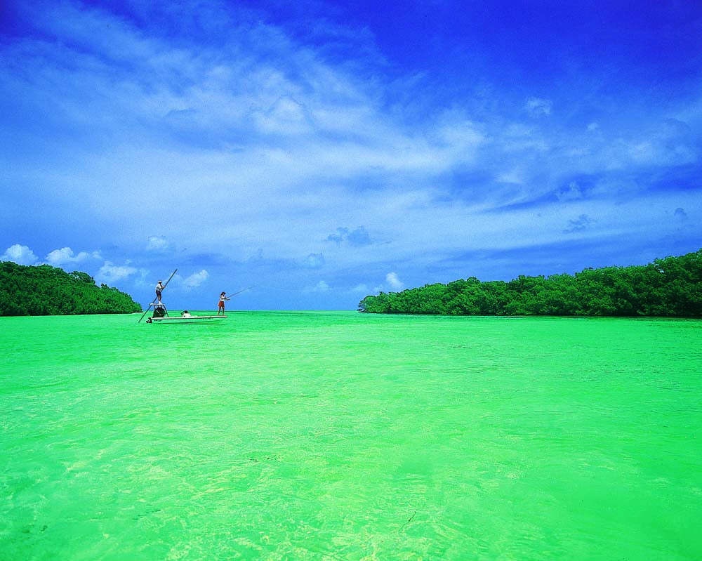 florida keys fishing.jpg