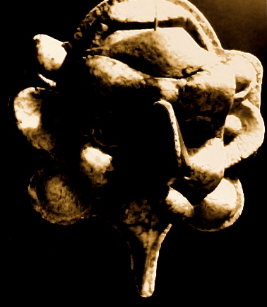 18a.jpg