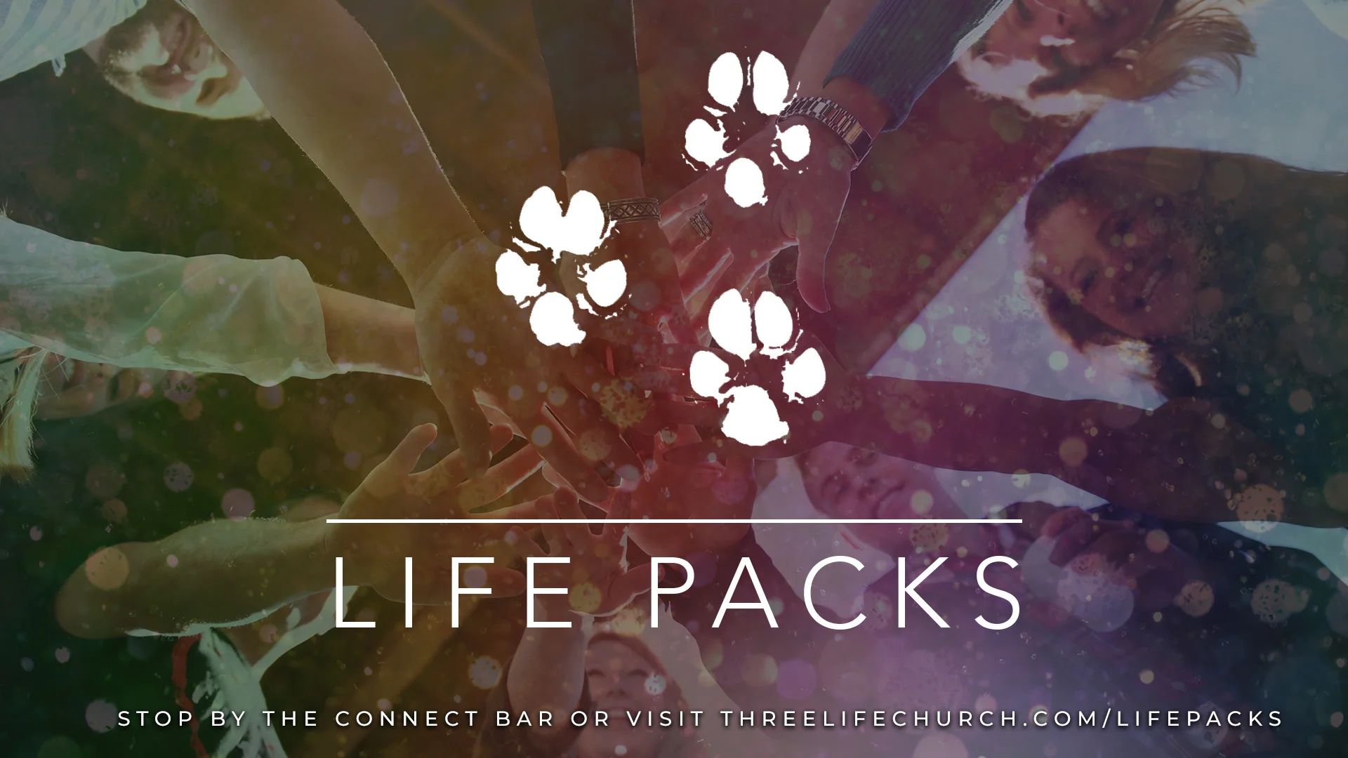 lifepack.jpeg
