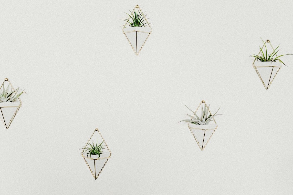 Photo by Liana Mikah on Unsplash