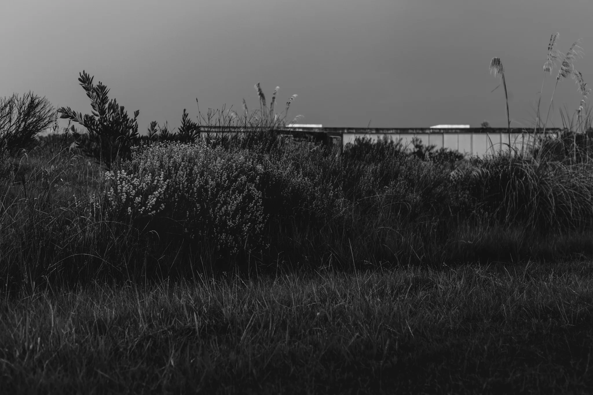 20170226_tajamares_034-3-HDR.jpg