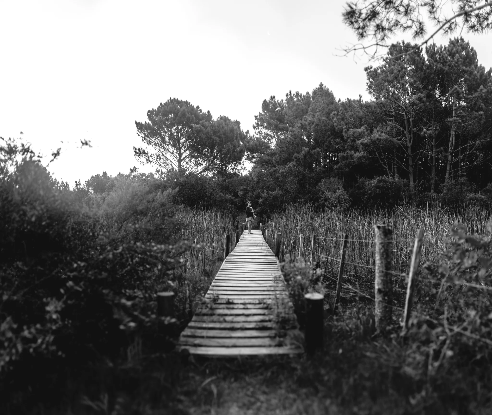 IMG_7691-Pano-2.jpg