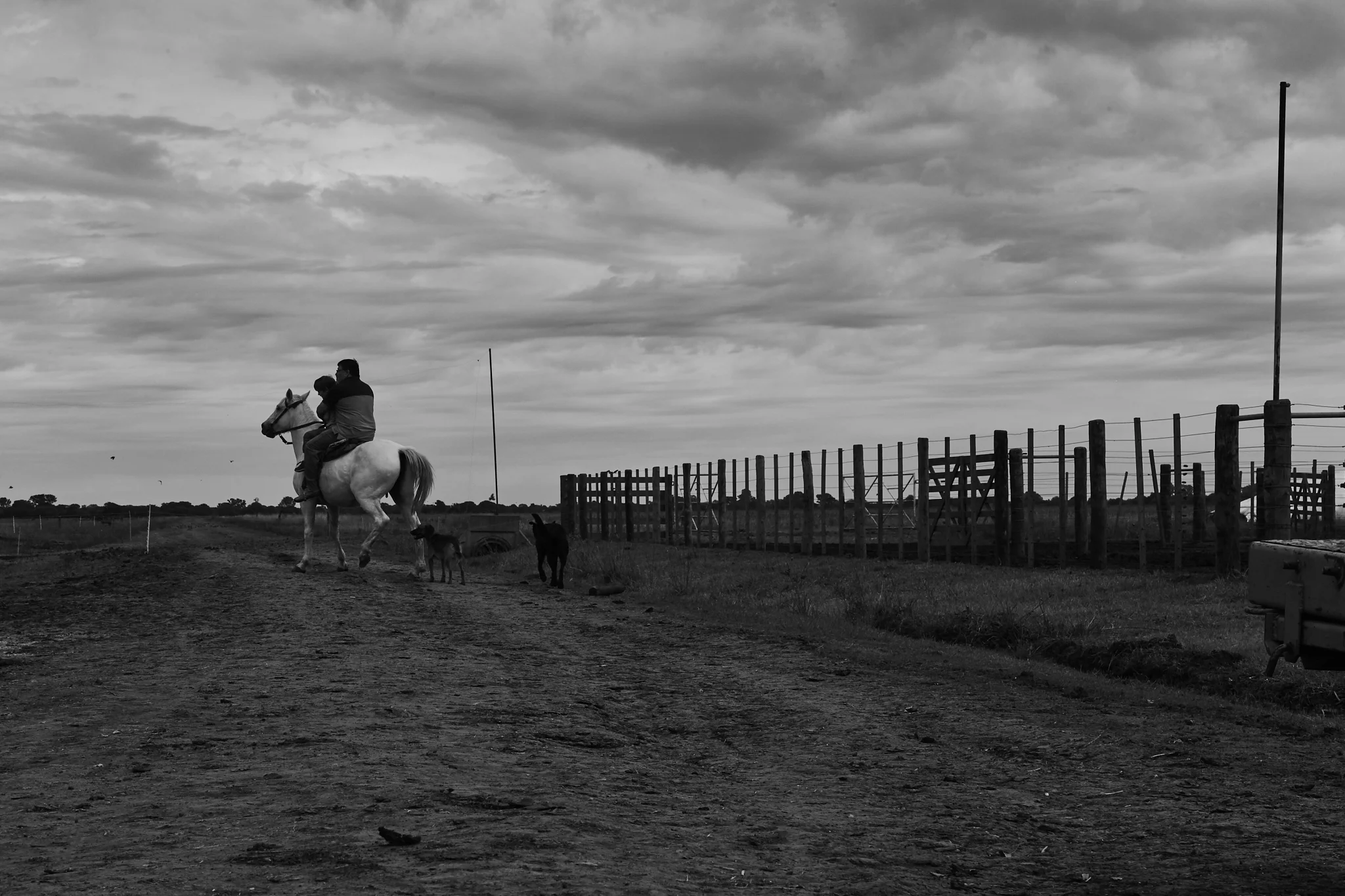 20190419_lasarita_082.jpg