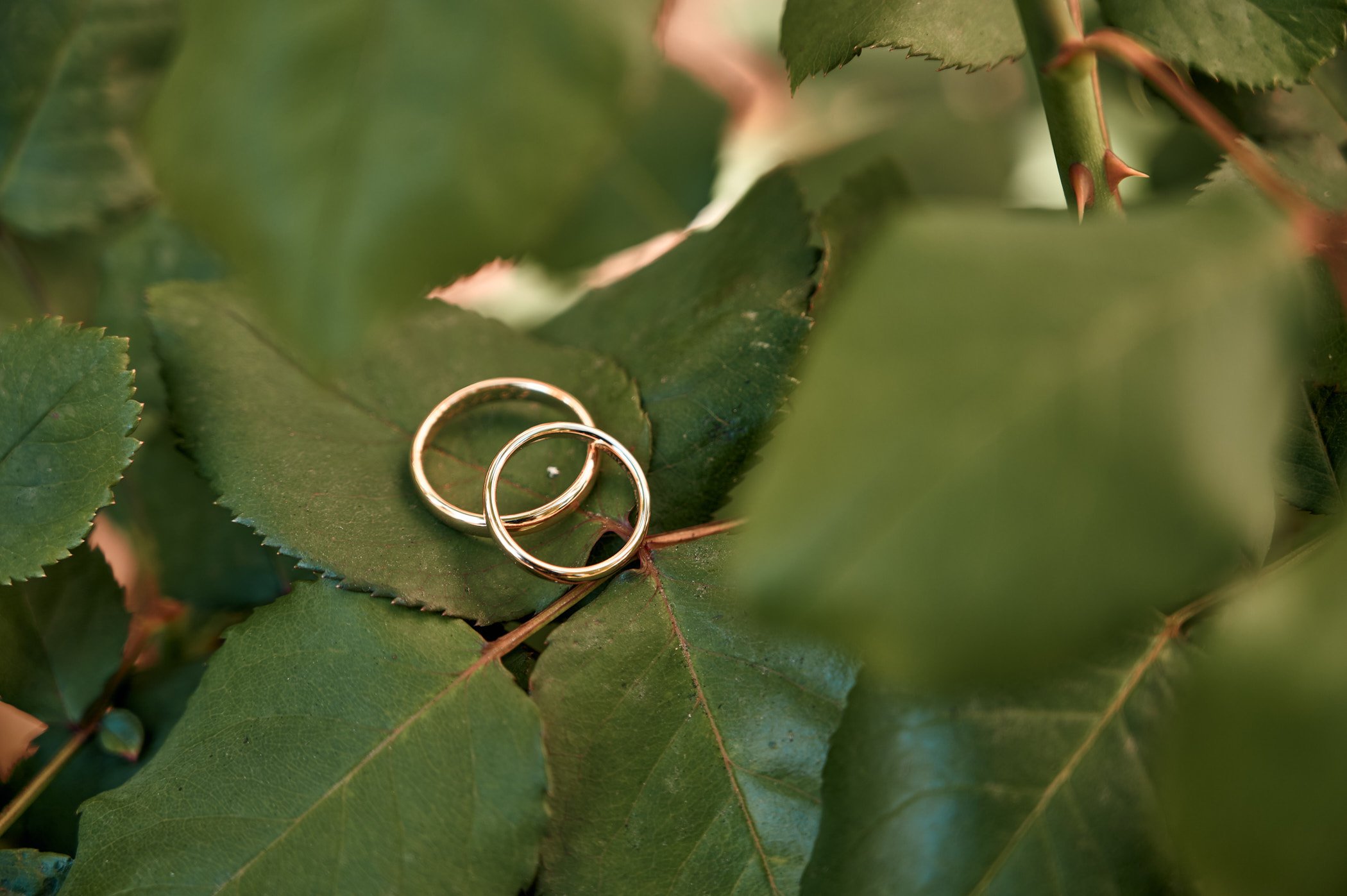 Sofi y Cristian - 0119.jpg