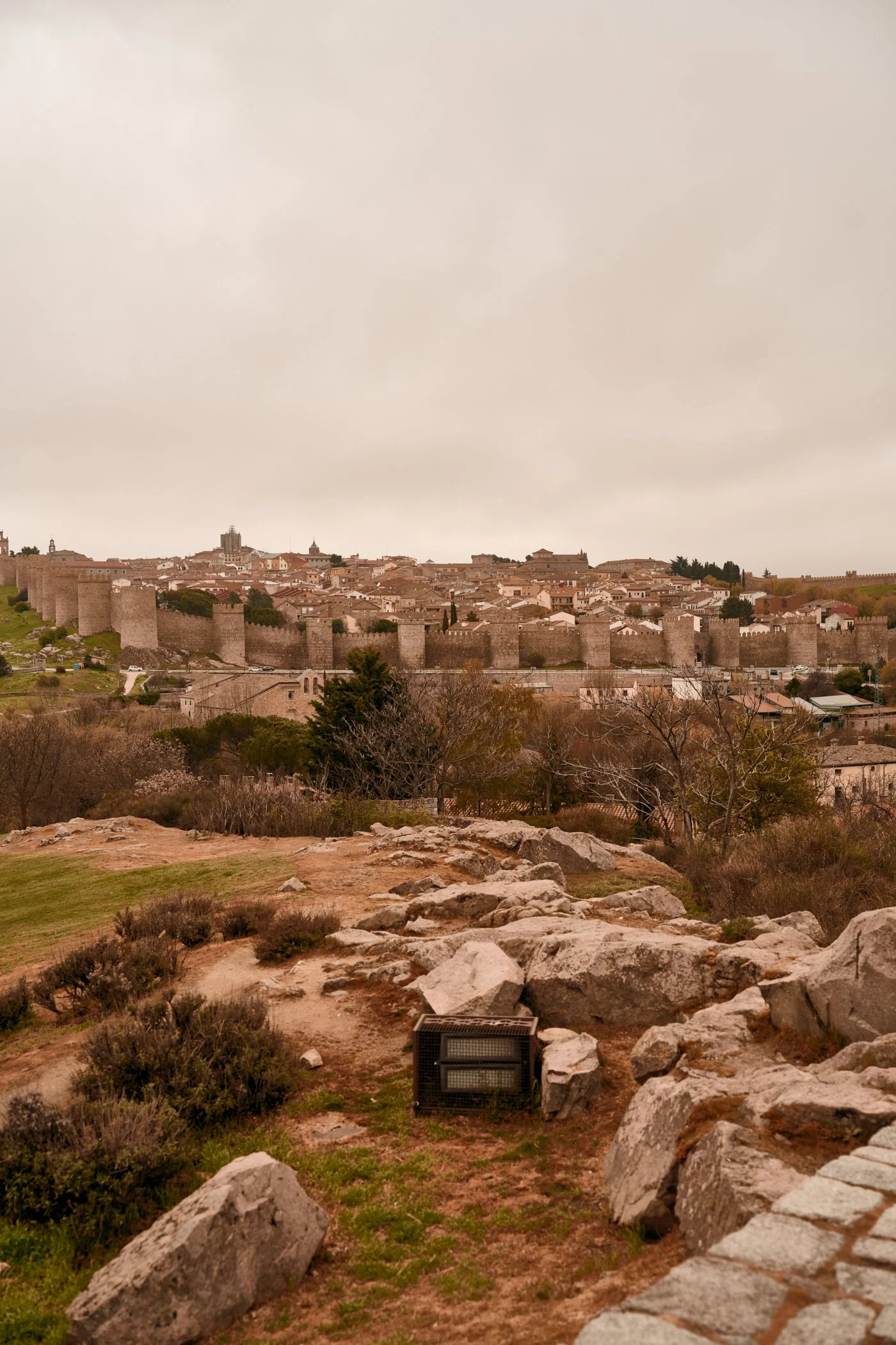 20260409_tereytomi_españa_043.jpg