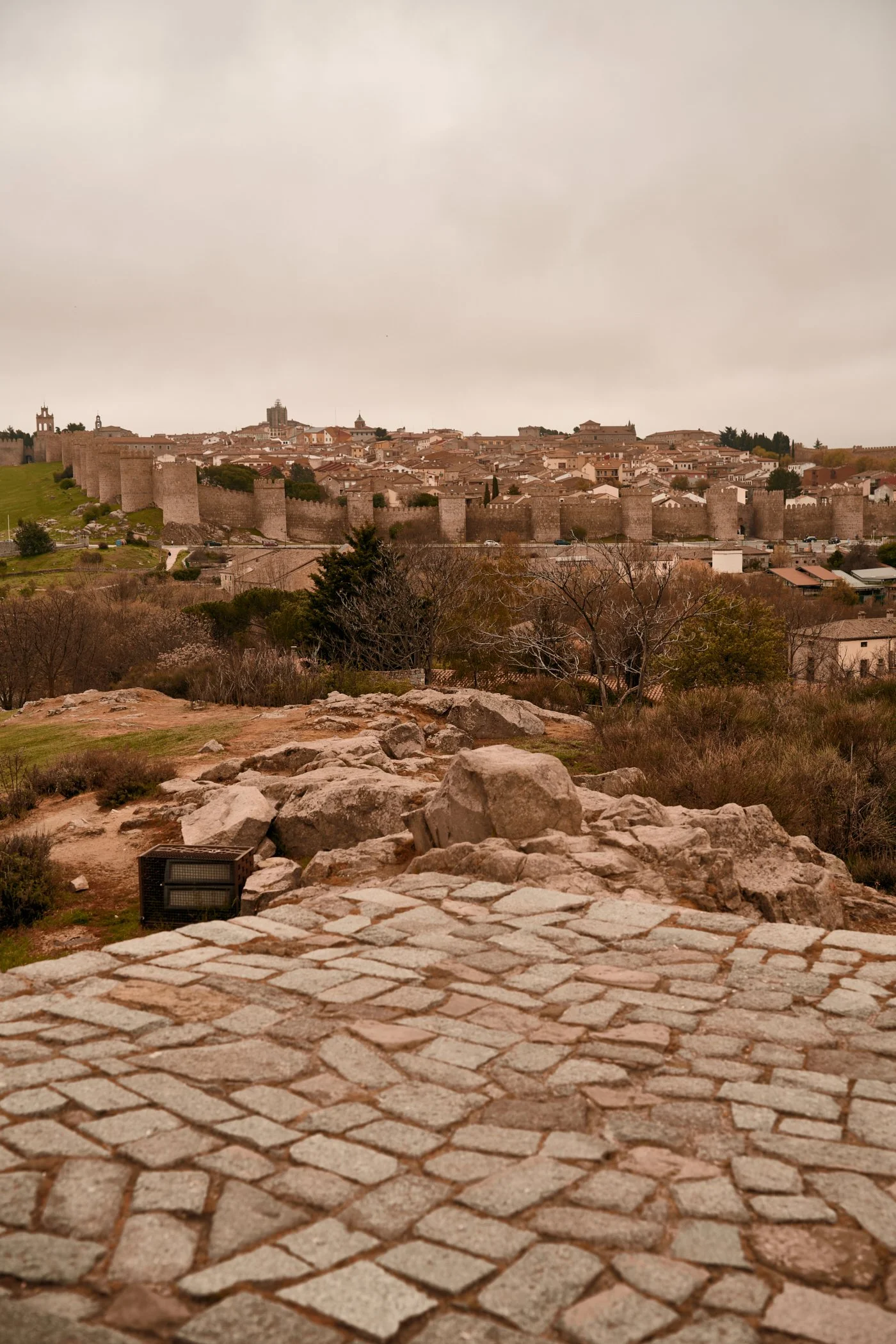 20260409_tereytomi_españa_045.jpg