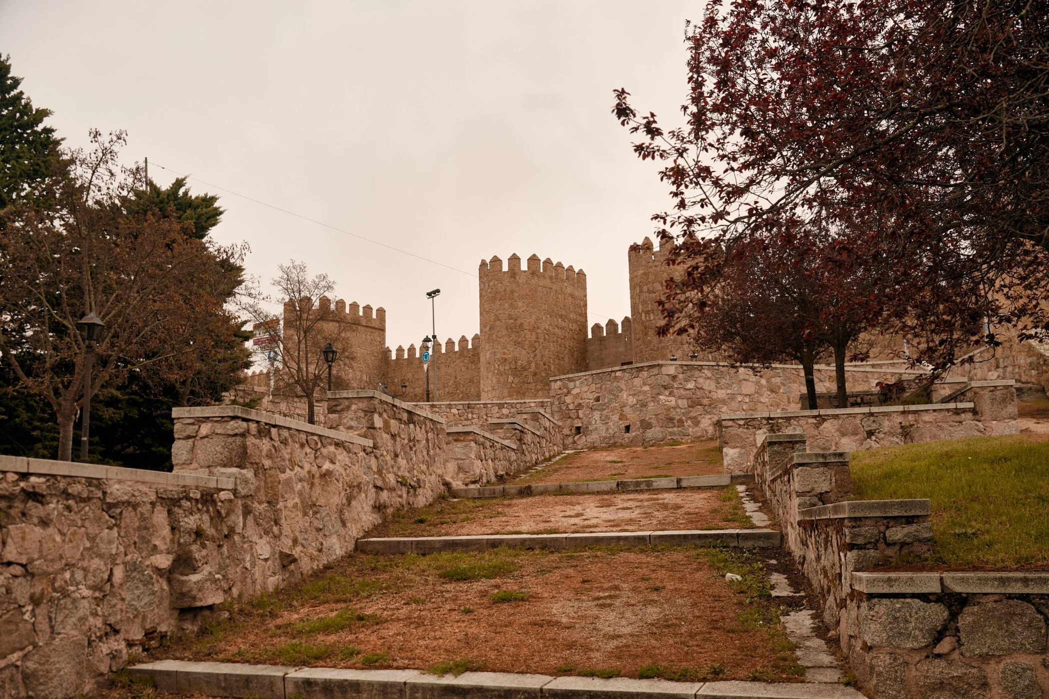 20260409_tereytomi_españa_059.jpg