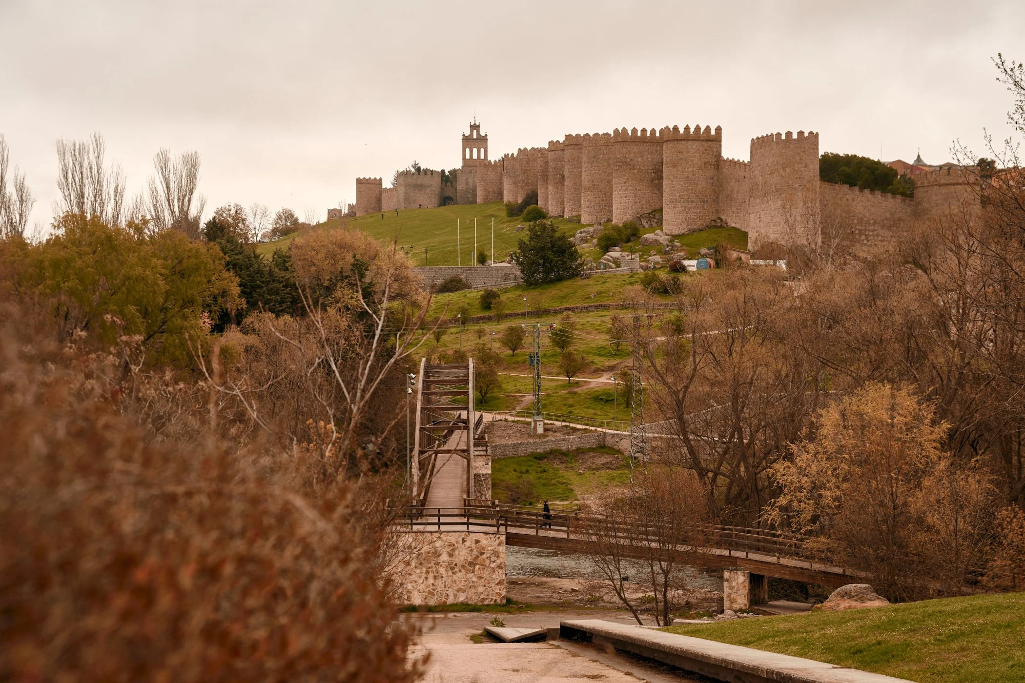 20260409_tereytomi_españa_070.jpg