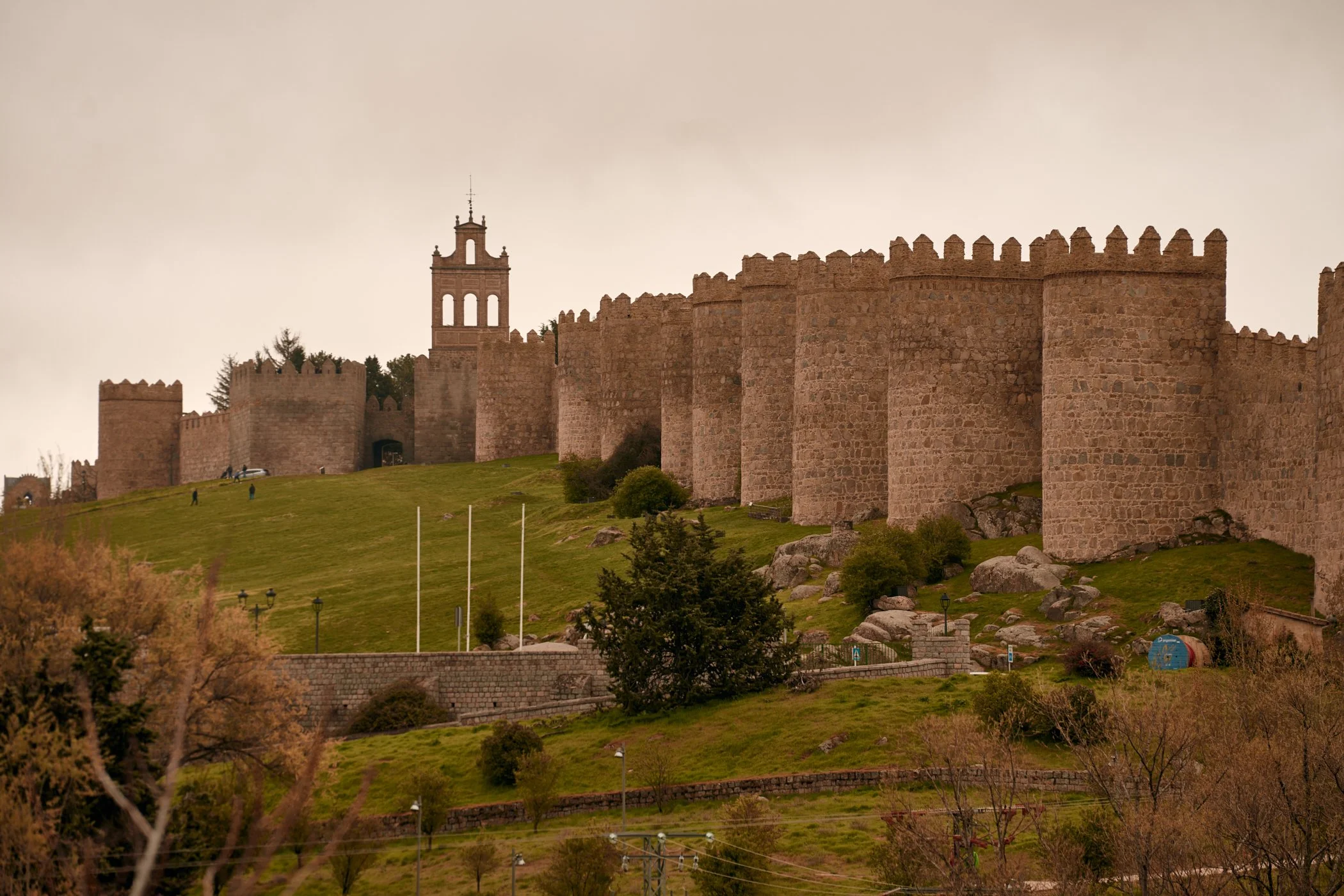 20260409_tereytomi_españa_071.jpg