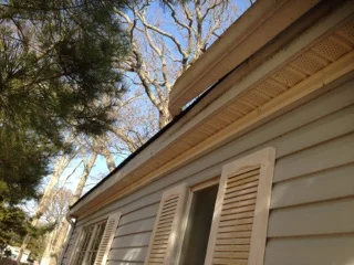 Gutter Replacement and Cleaning 1/5