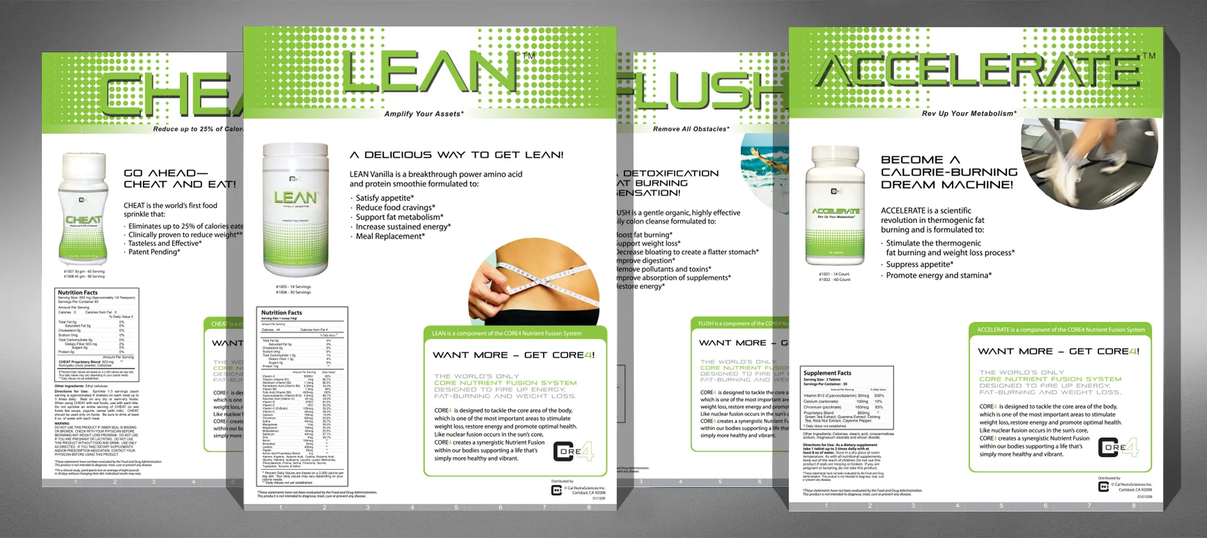 CNI_productflyers_collage.jpg