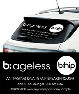 bhip_CarDecal_DNA-mockup.jpg