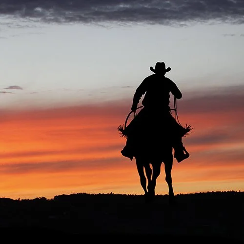 TR_cowboy_500pxsq.jpg