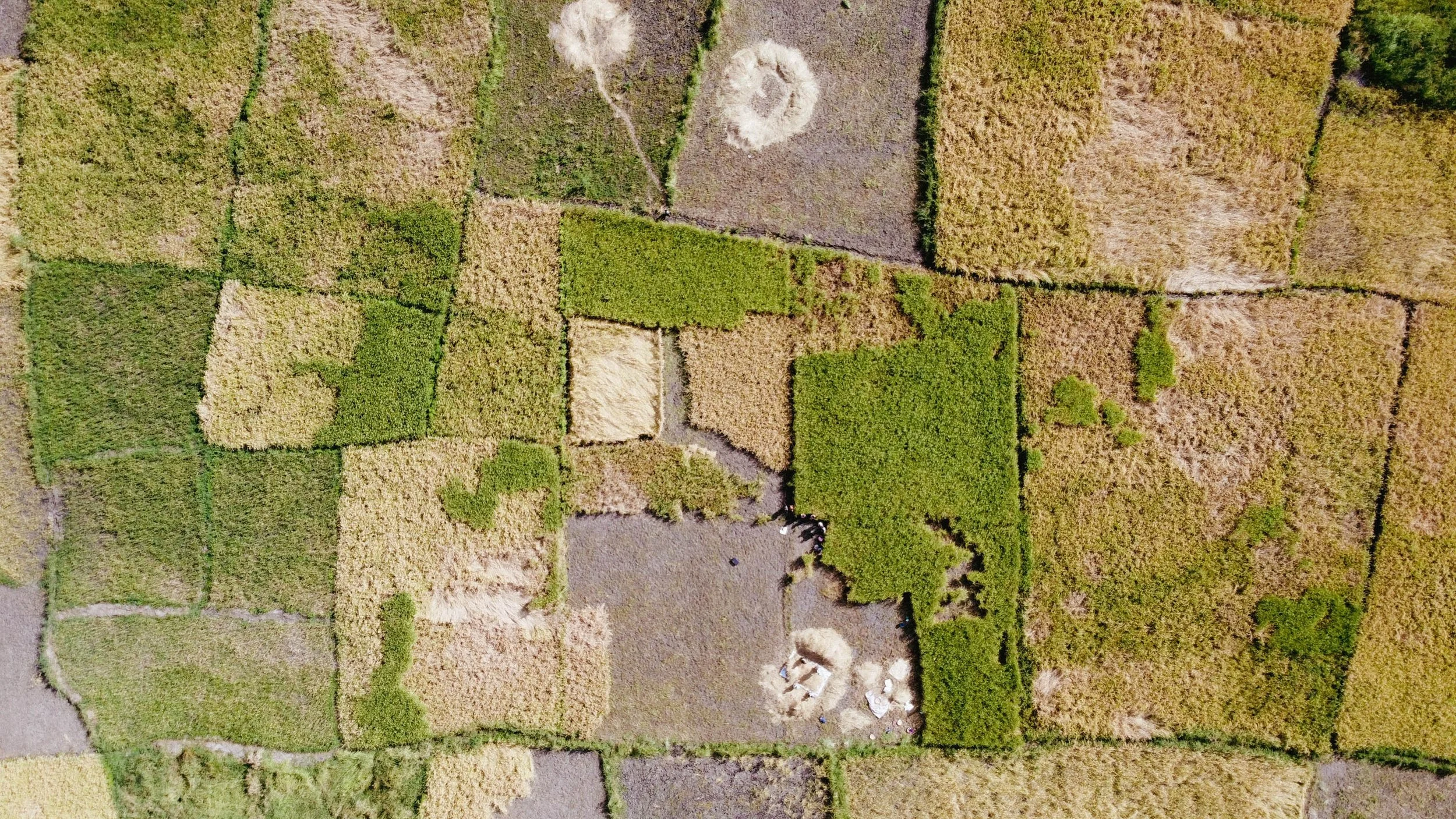 20210426-Concern2.dji_0691.jpg
