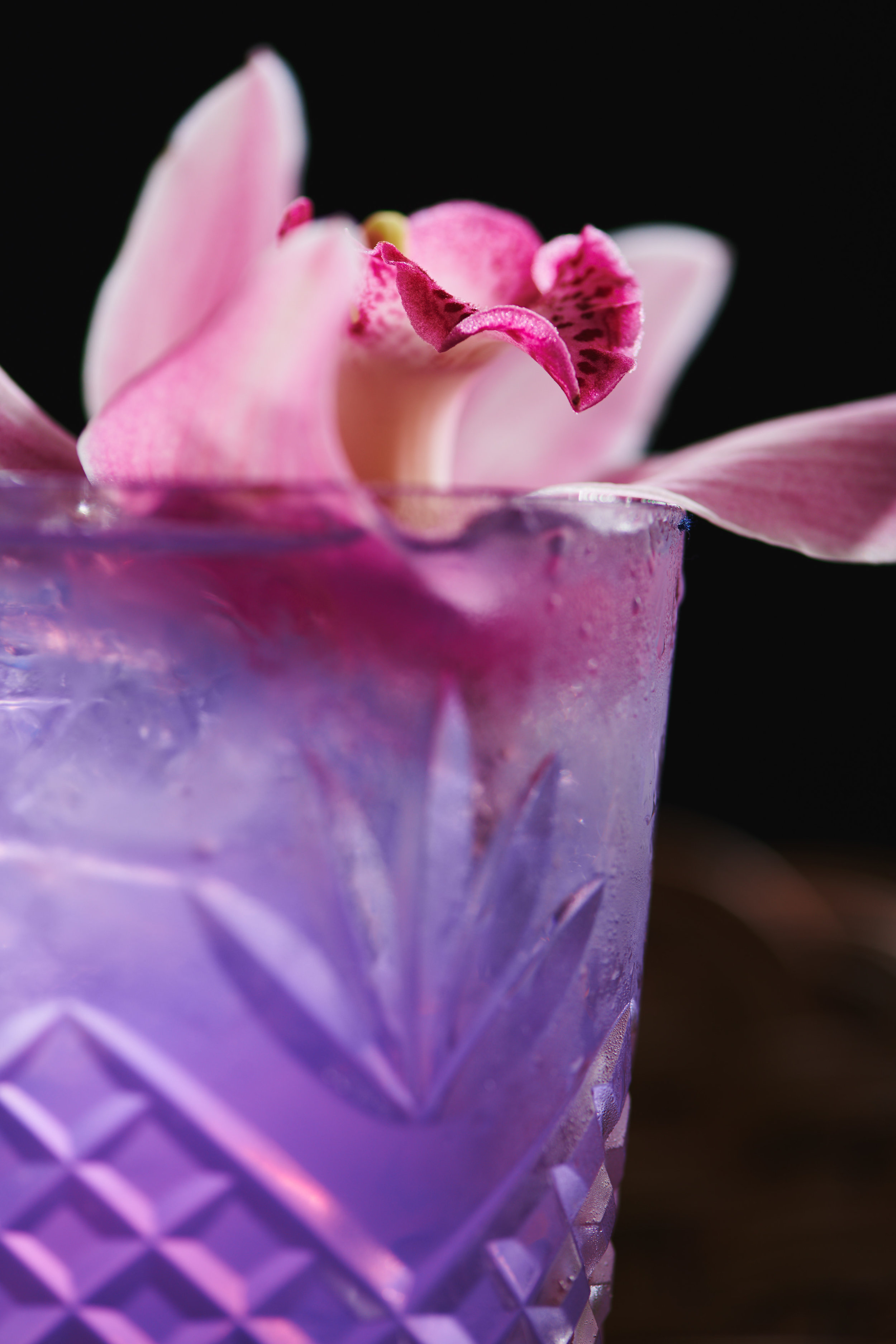 SH-Spring-Cocktails-006.jpg