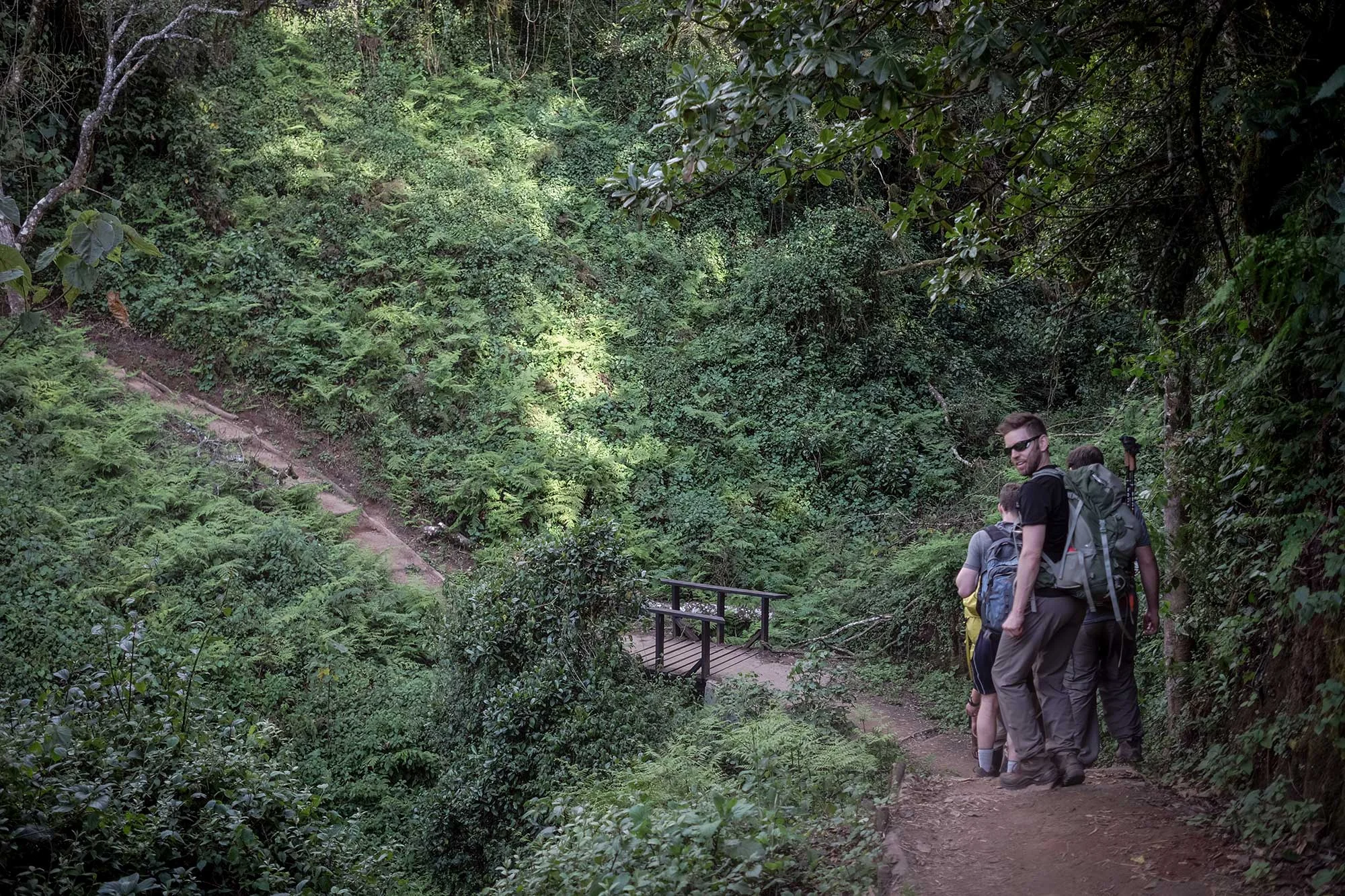 And we're off!! The path started nice and easy with stairs and bridges. I Can't wait to get to the higher elevations!