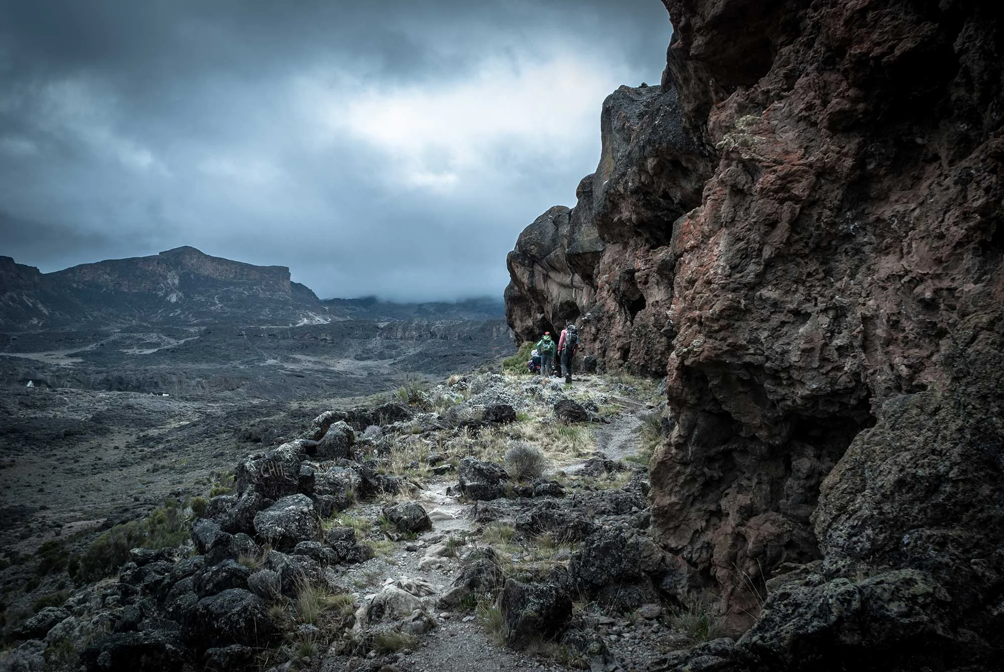 D3-27-Kilimanjaro-climbers-heading-to-Moir-Hut-Camp-05.jpg