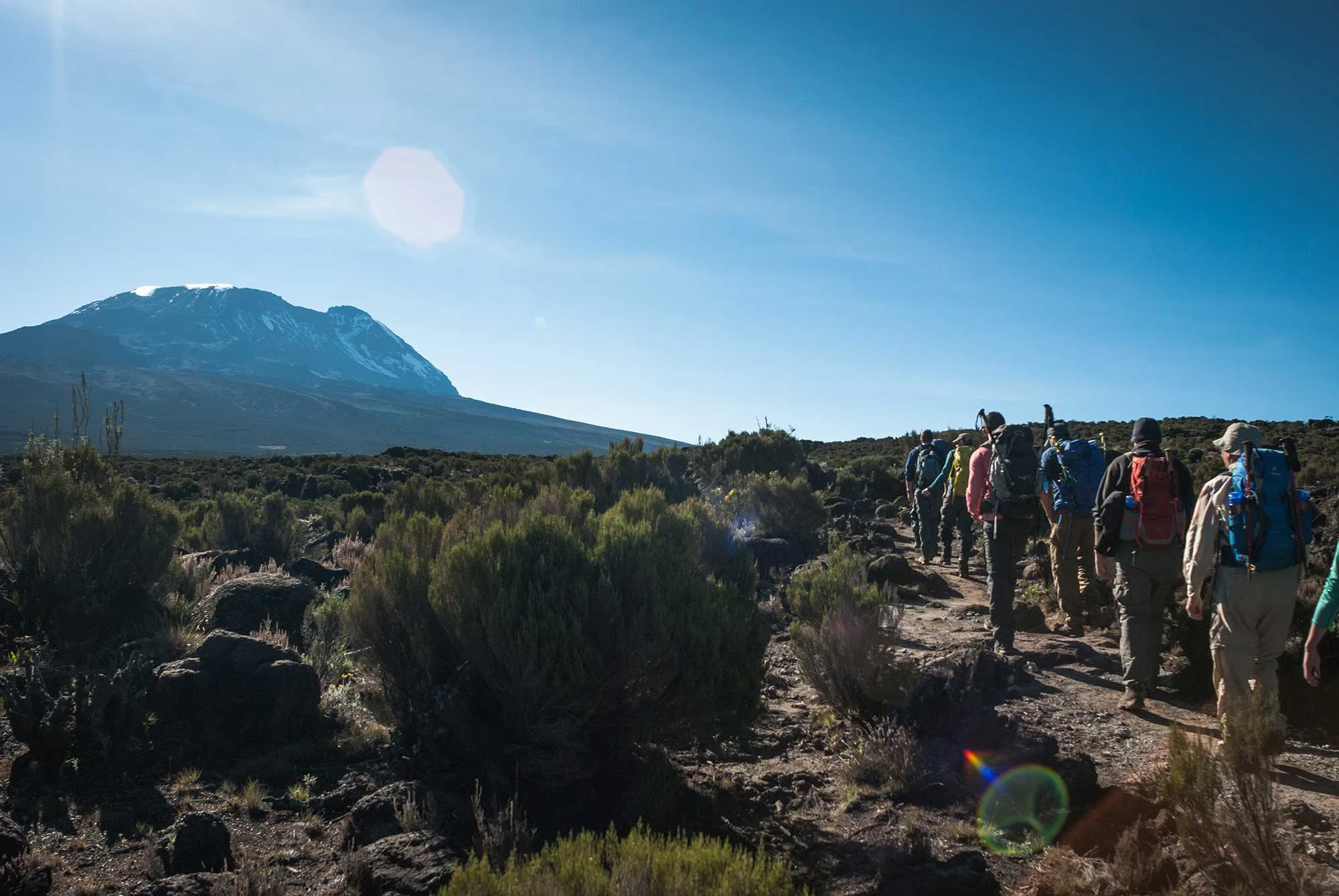 D3-14-walking-toward-kibo-kilimanjaro-shira-plateau-03.jpg