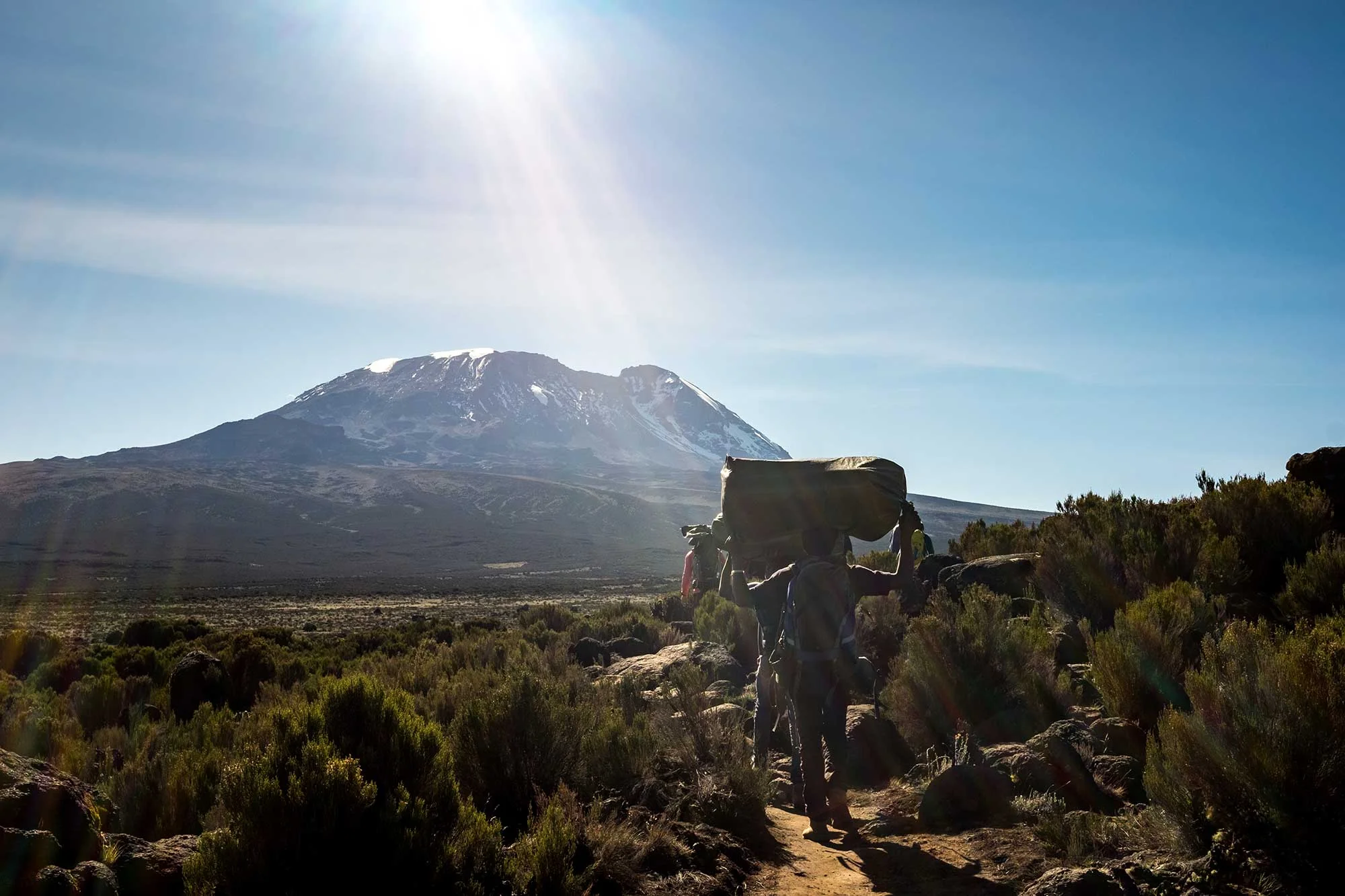 D3-11-poerters-walking-toward-kibo-kilimanjaro-shira-plateau.jpg