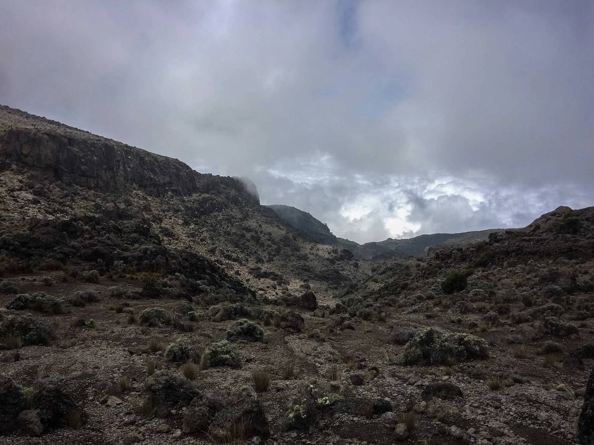 D5-15-heading-to-karanga-camp-kilimanjaro.jpg