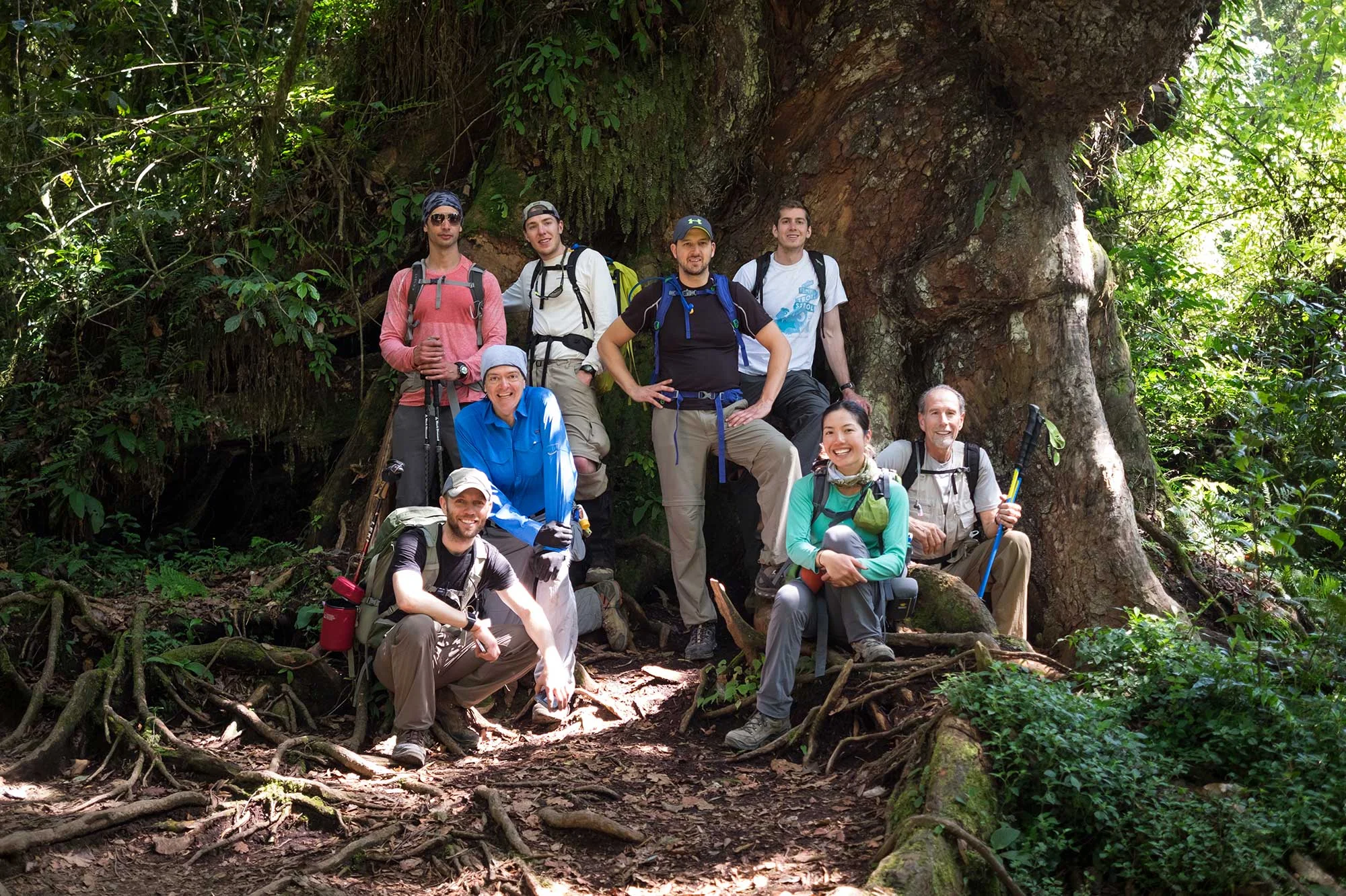 Most of team Duma taking a break beneath a gigantic tree on the way out of the Kilimanjaro park.