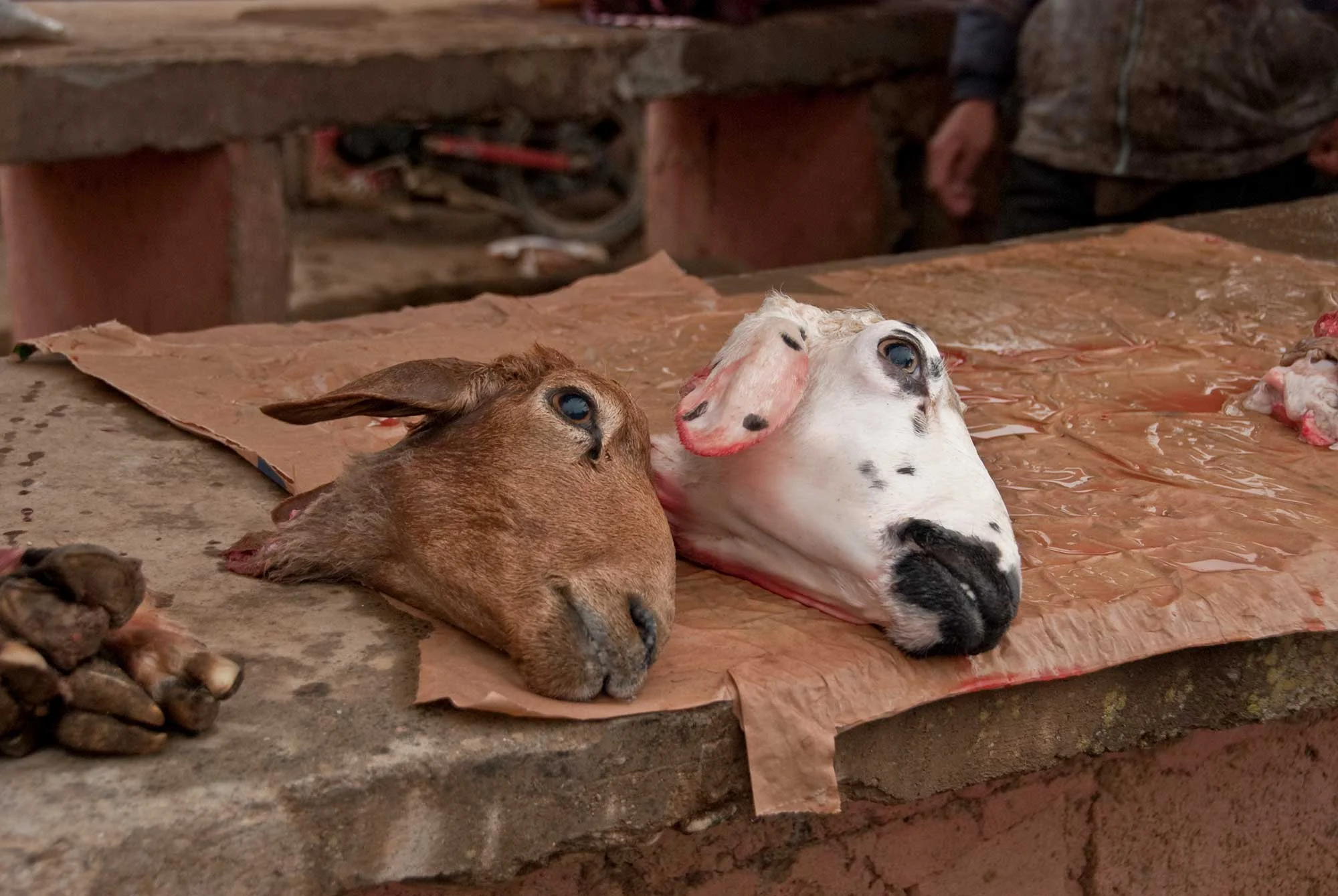You can literally purchase a goat's head at this market.